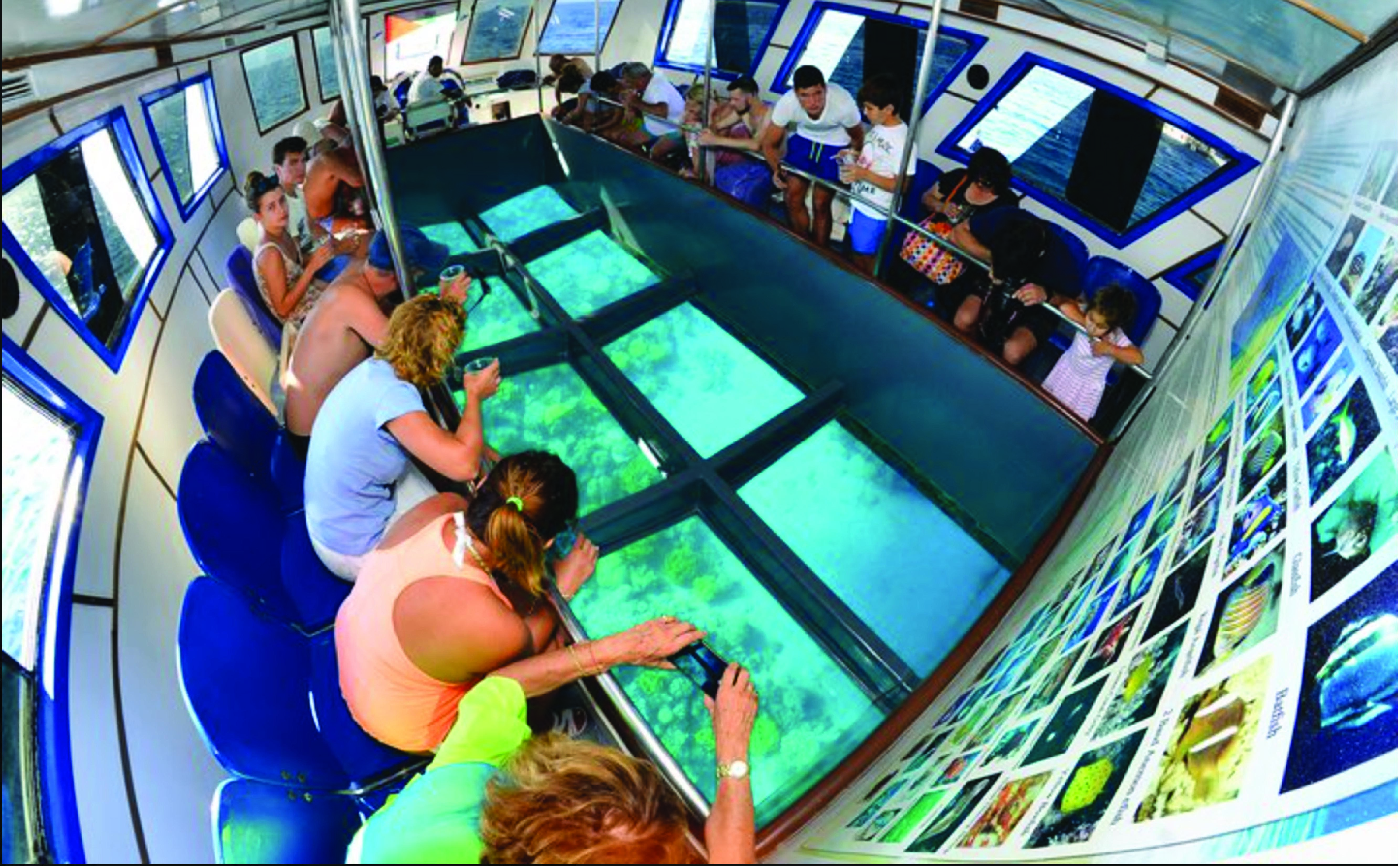 Glass Boat & Snorkeling with day use of Berenice Beach Club