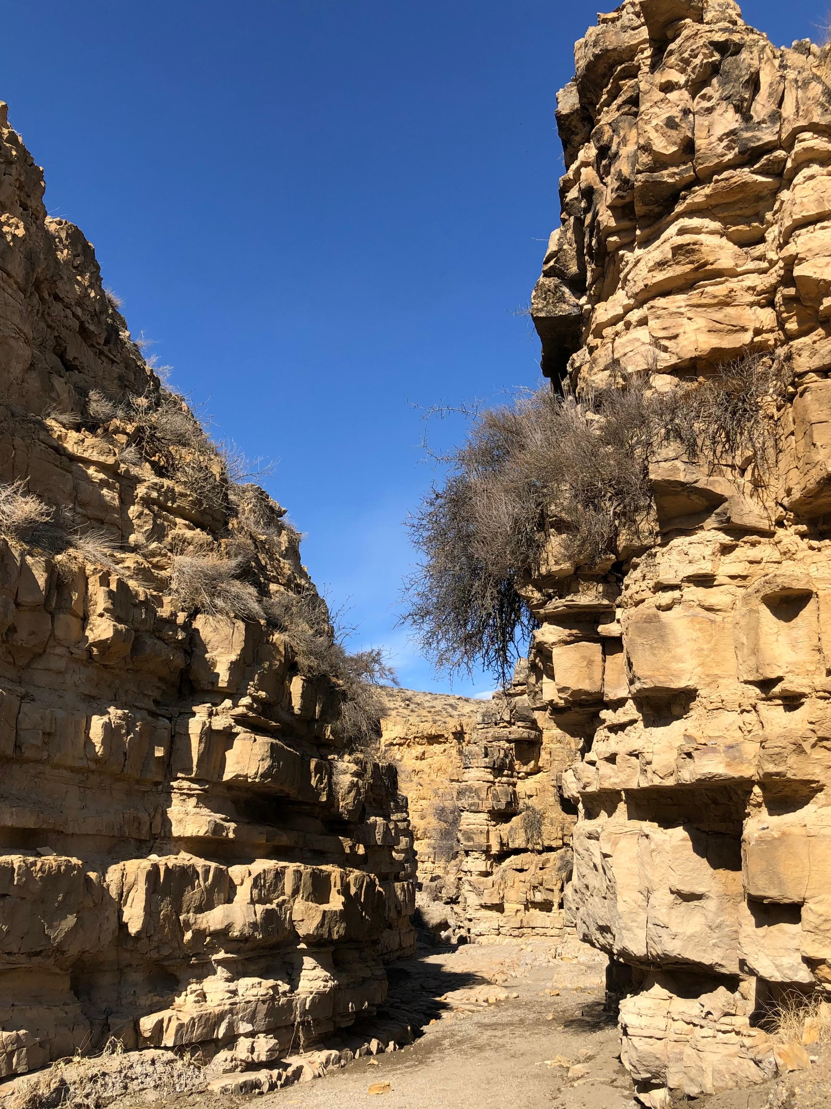 Yerevan: Khor Virap, Angel Canyon & Ararat Valley Tour 3