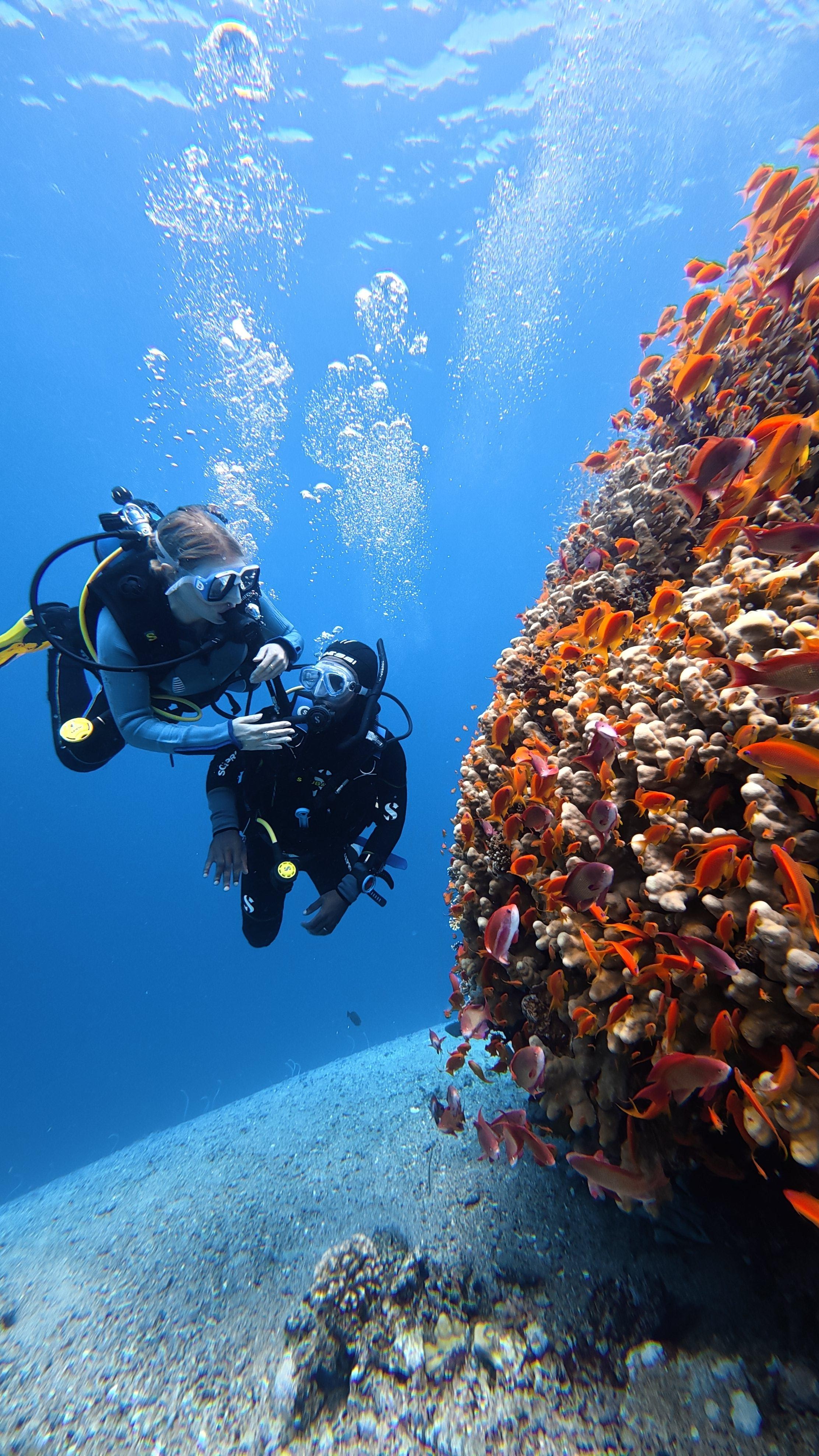 Aqaba: Scuba Fun Dive or Try-Dive (with Transfers & Photos) 2
