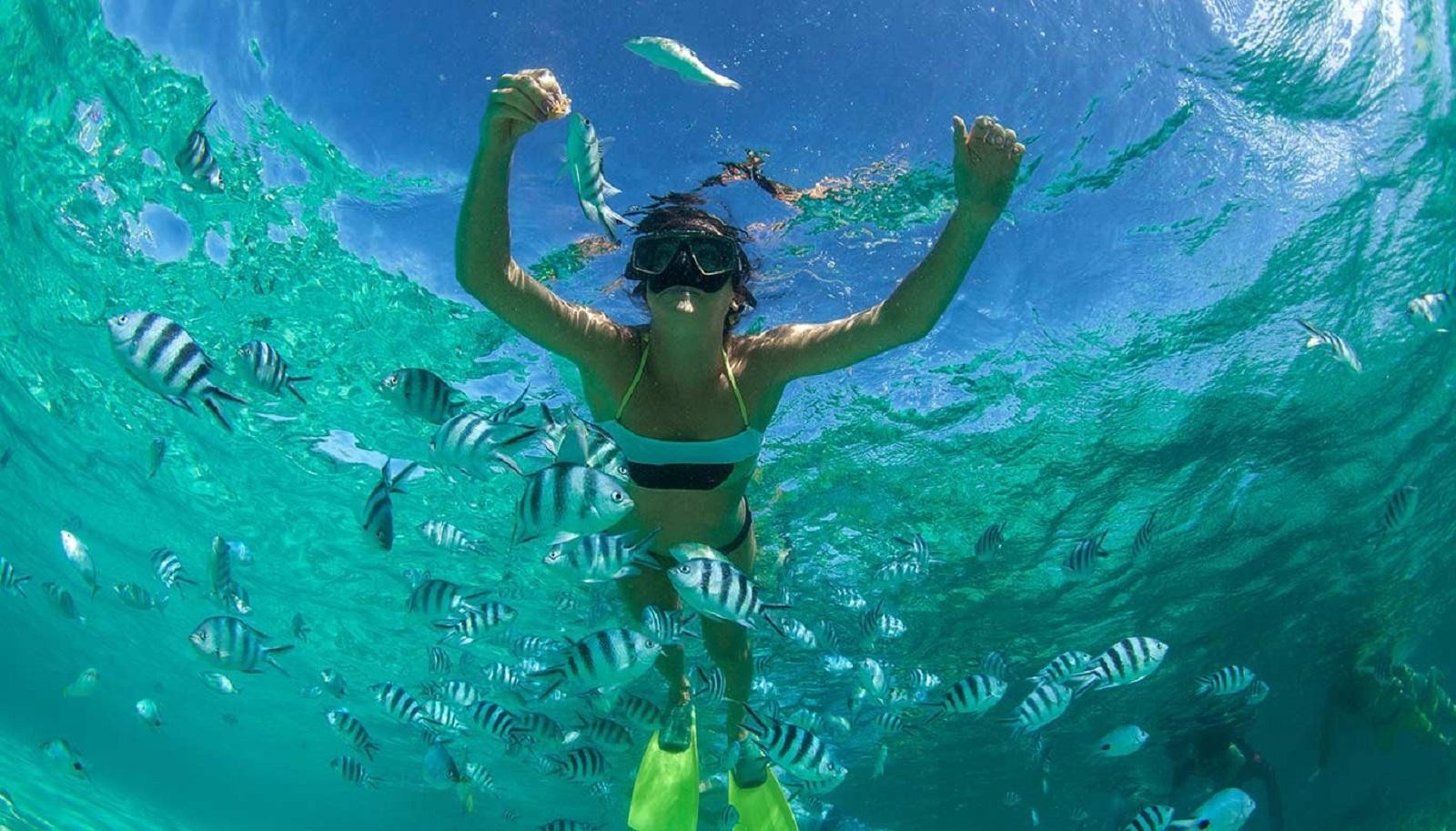 From Muscat: Dimaniyat Islands Snorkeling Tour 2