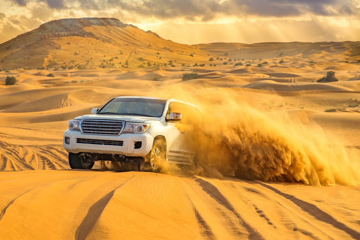 Doha: Sandboarding Desert Safari, Optional ATV & Camel Rides 2