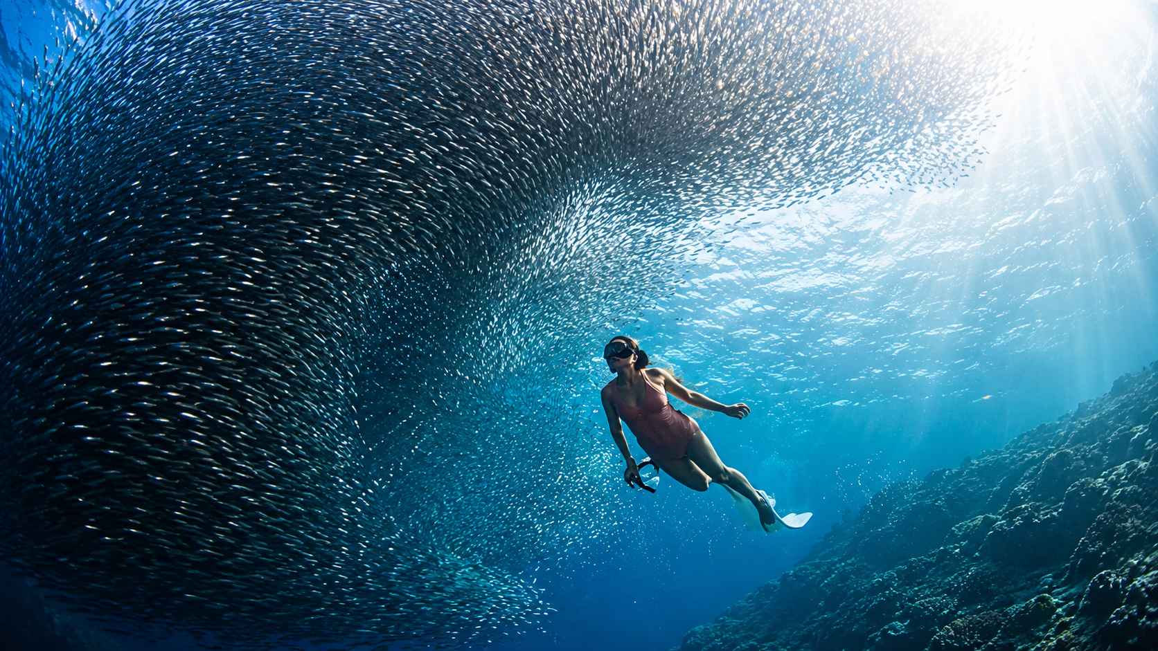 Cebu: Moalboal Sardine Run & Kawasan Canyoneering 2