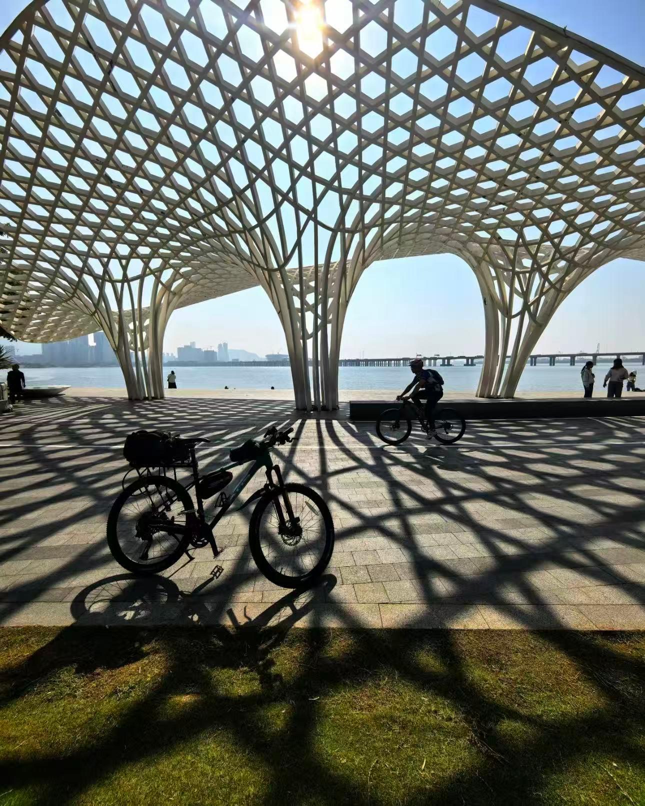 Shenzhen: Bay Park and Talent Park Guided Bike Tour