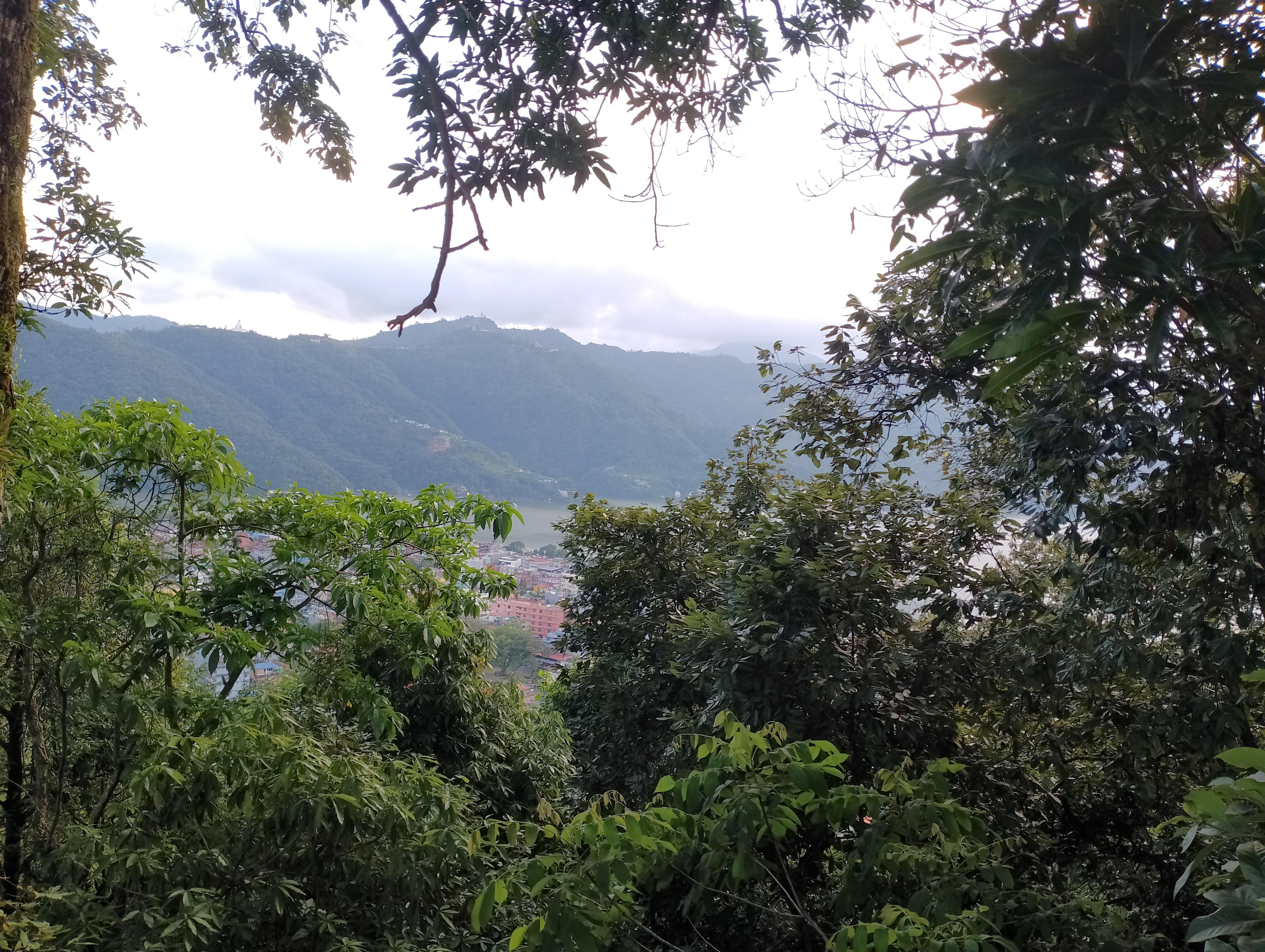 Short and Sweet: 3-Hour Hike with Views from Pokhara 3