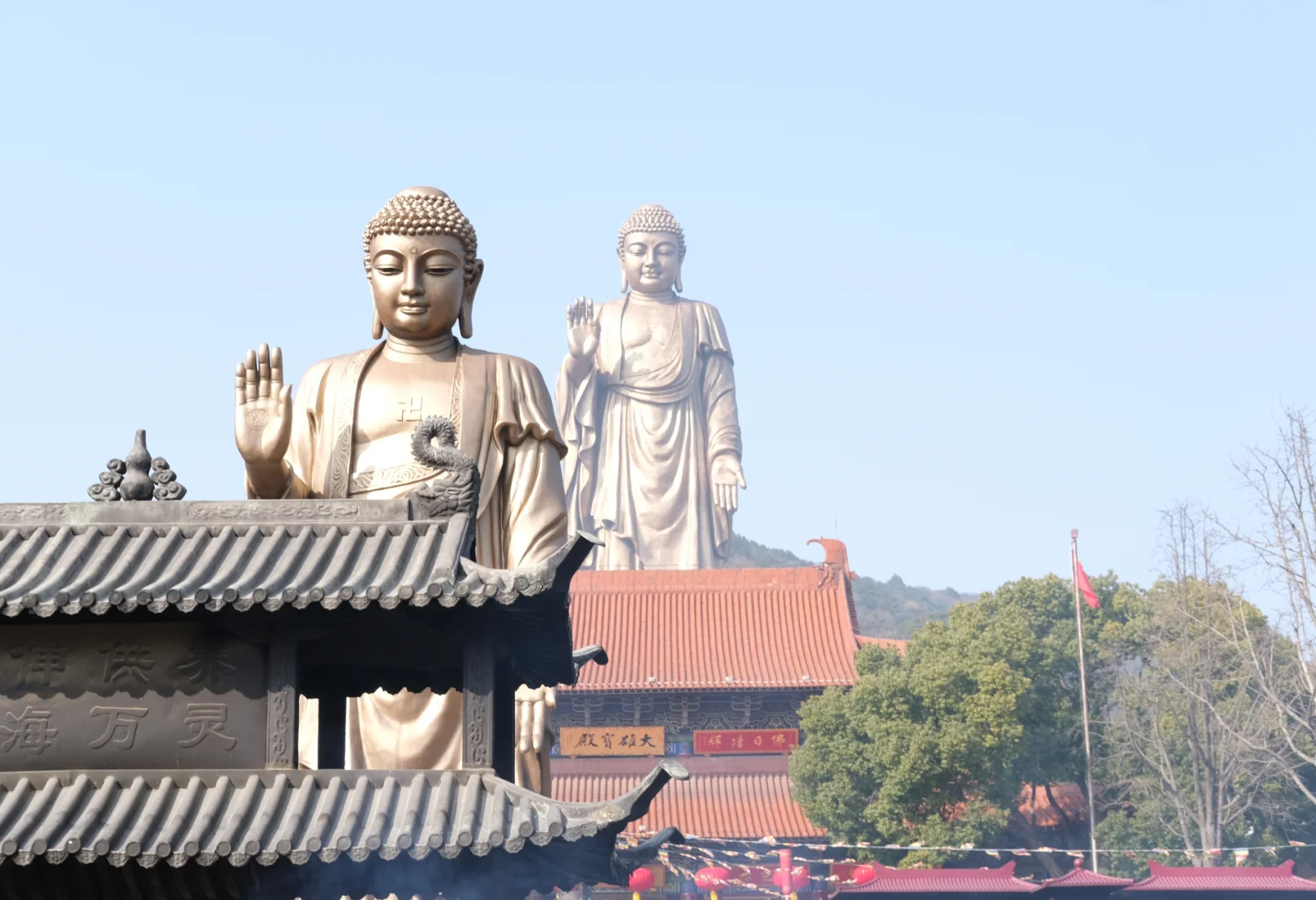 Shanghai: Wuxi Lingshan Grand Buddha & Nianhua Bay Tour