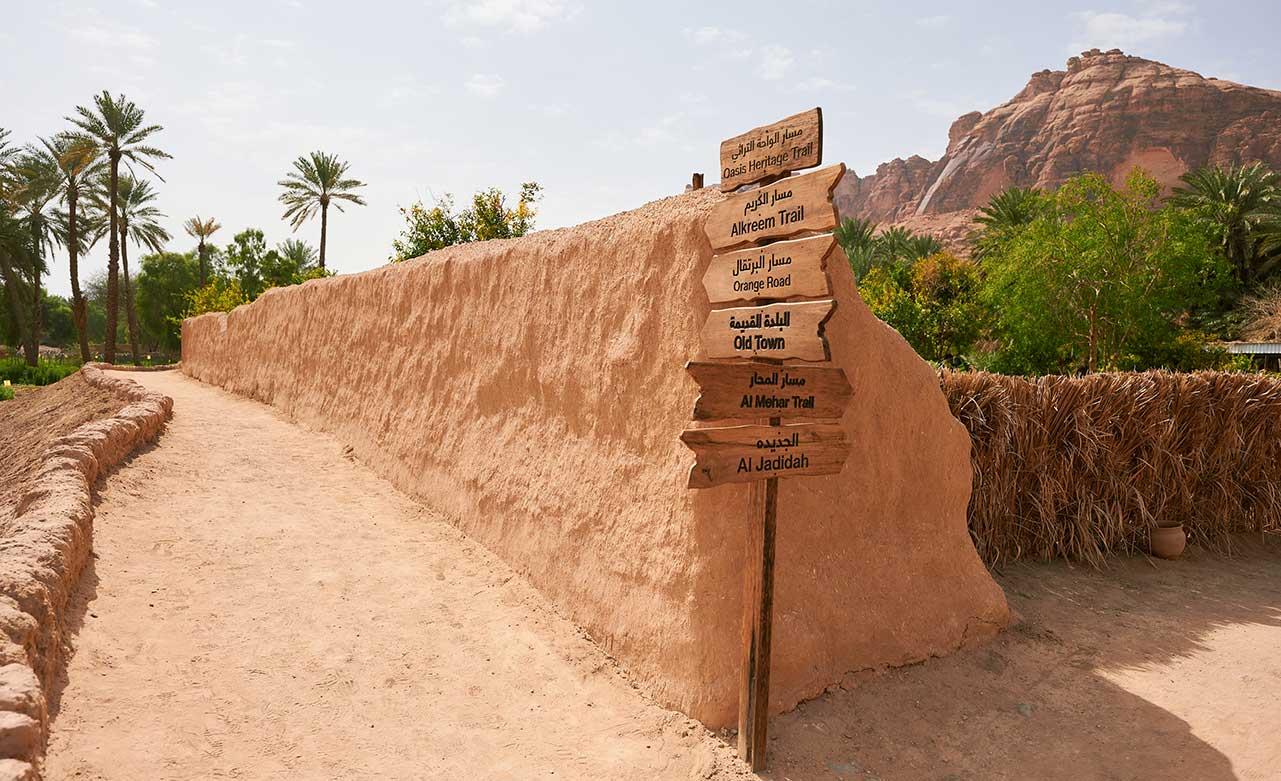 Oasis Adventure in Alula