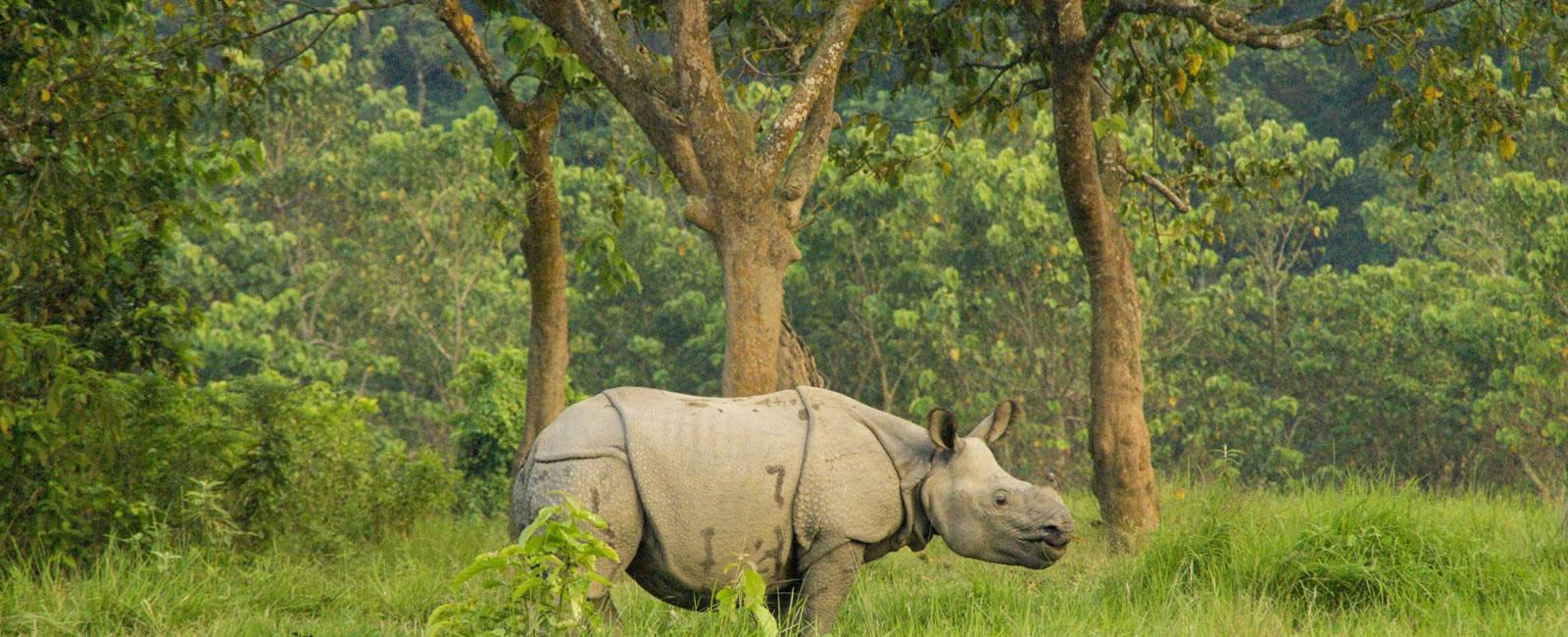 Kathmandu: 1-Way Flight Ticket to Chitwan Bharatpur 2