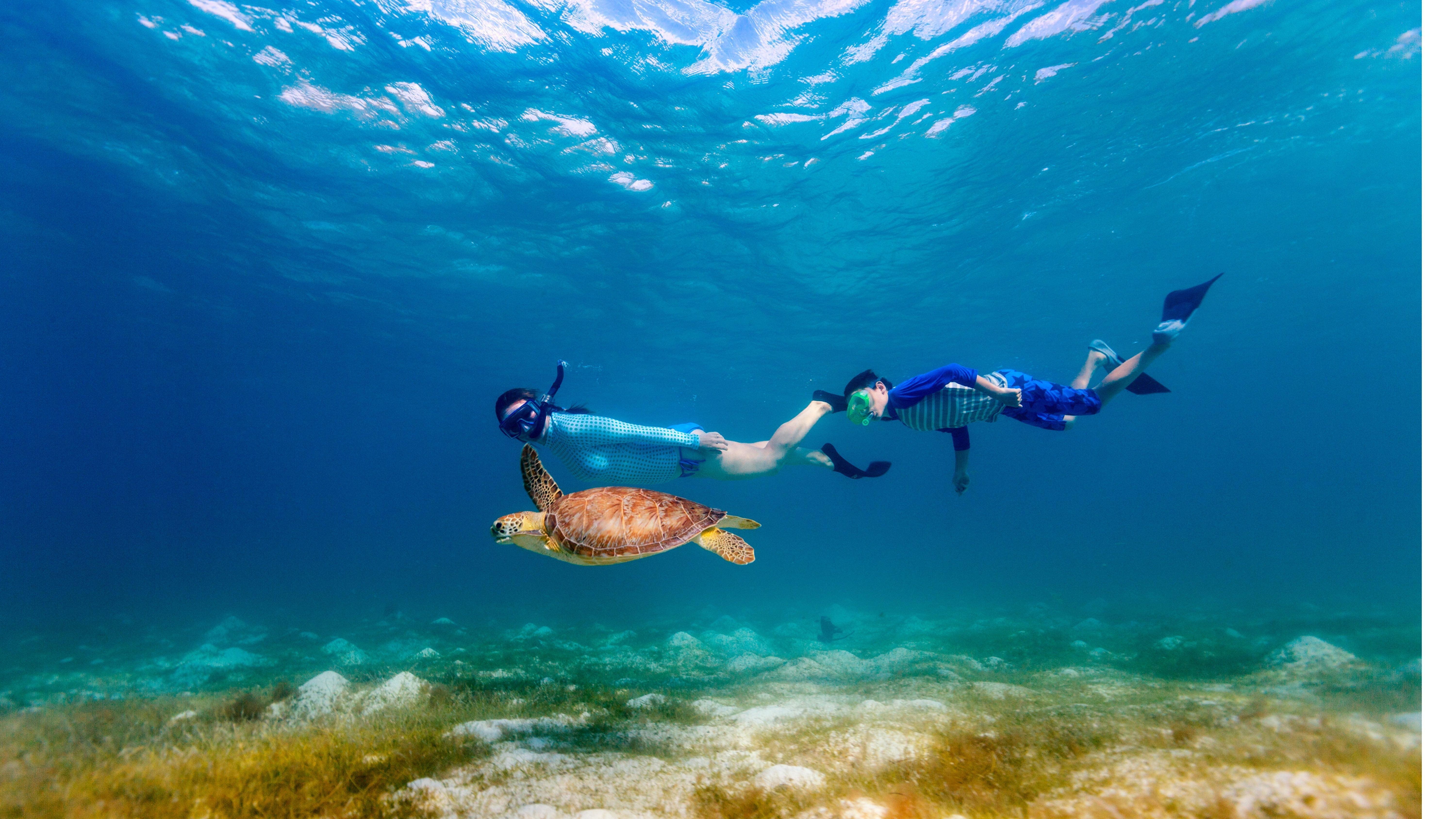 Daymaniyat Islands: Turtle Snorkeling & Boat Trip