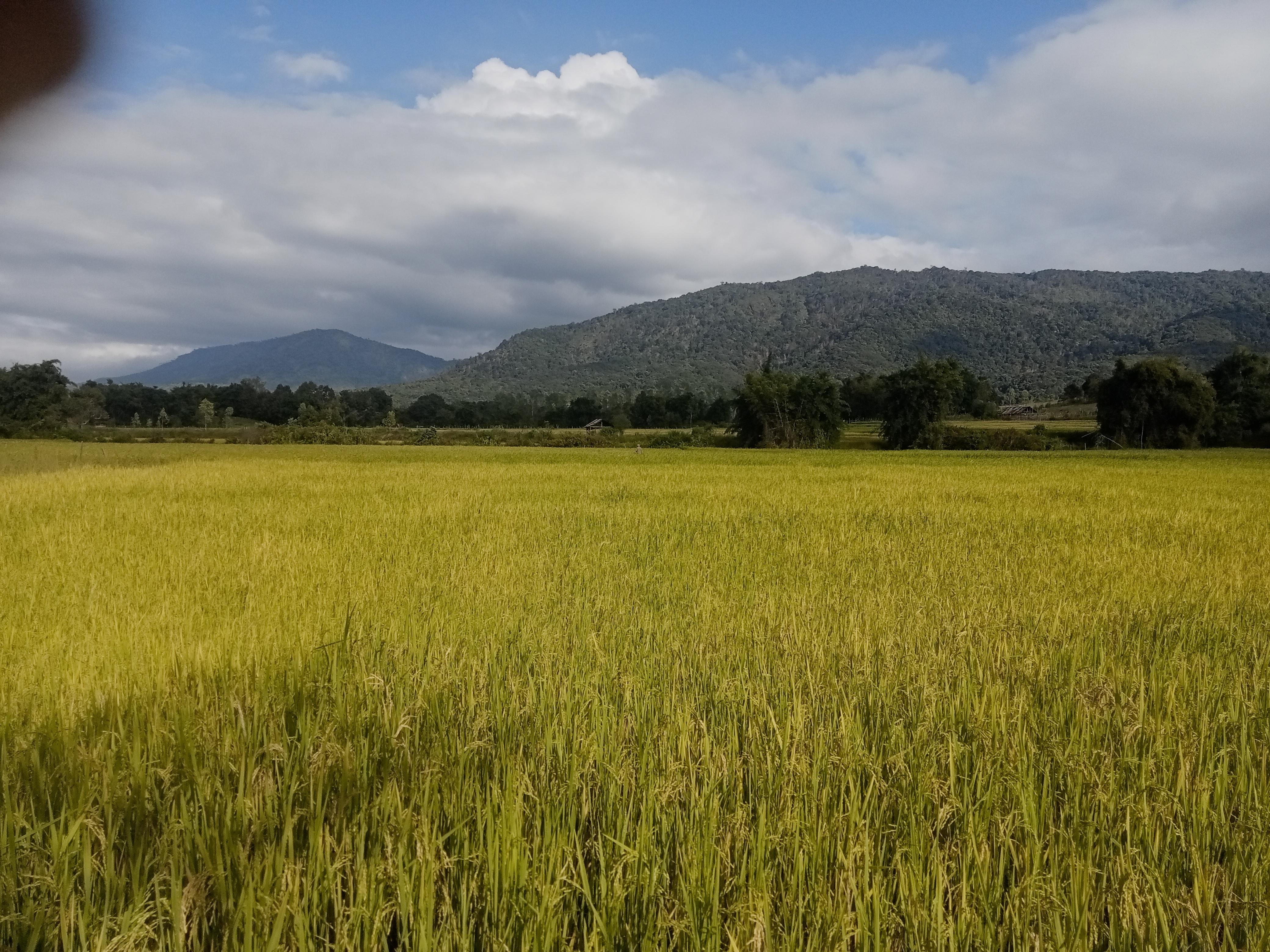 Phonsavan: 2-Day Trekking Tour with Homestay & Jars Site — guided tour in Phonsavan