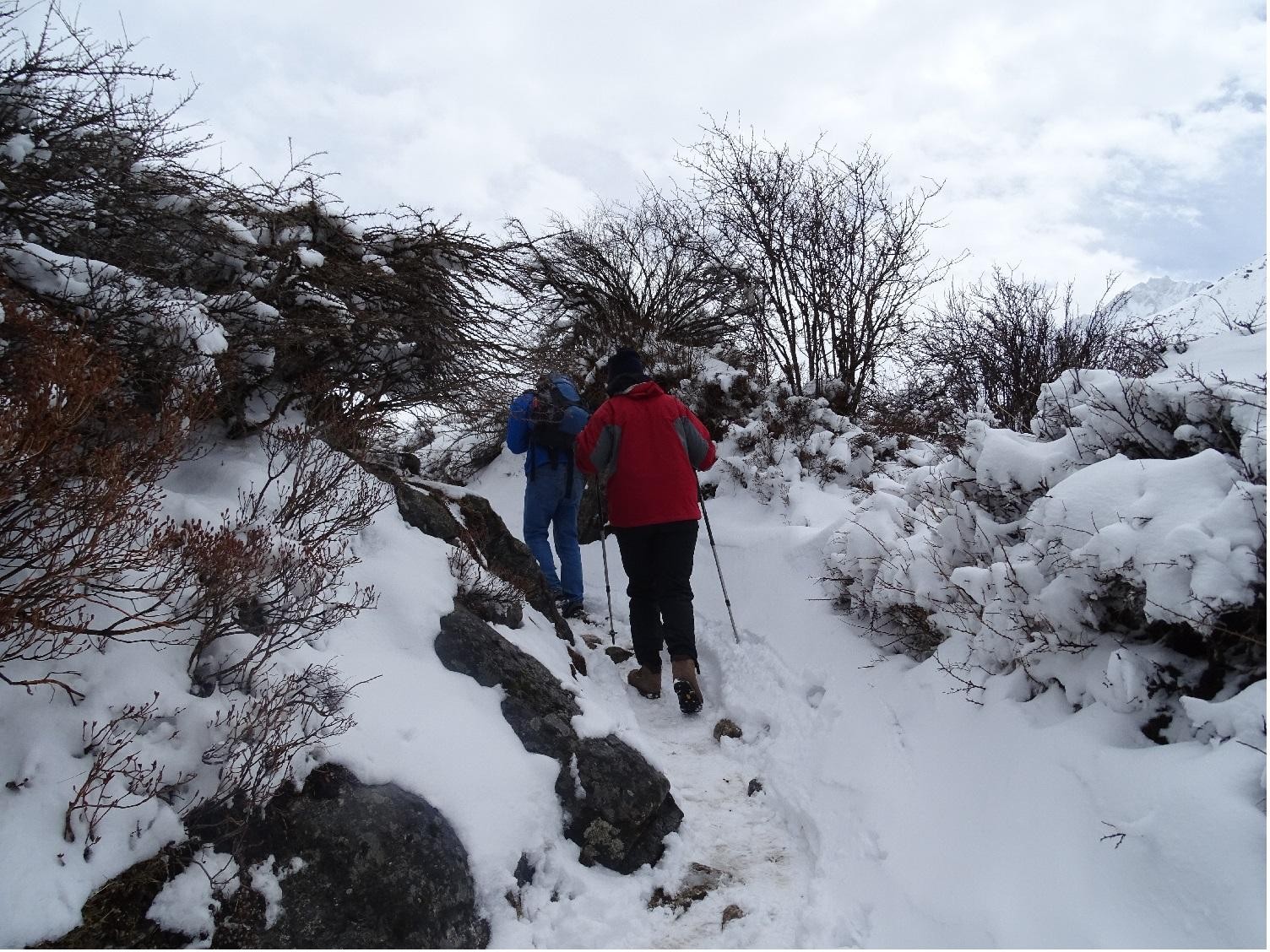 5-Day Langtang Valley Trek; Guide; Transport; Permit 2