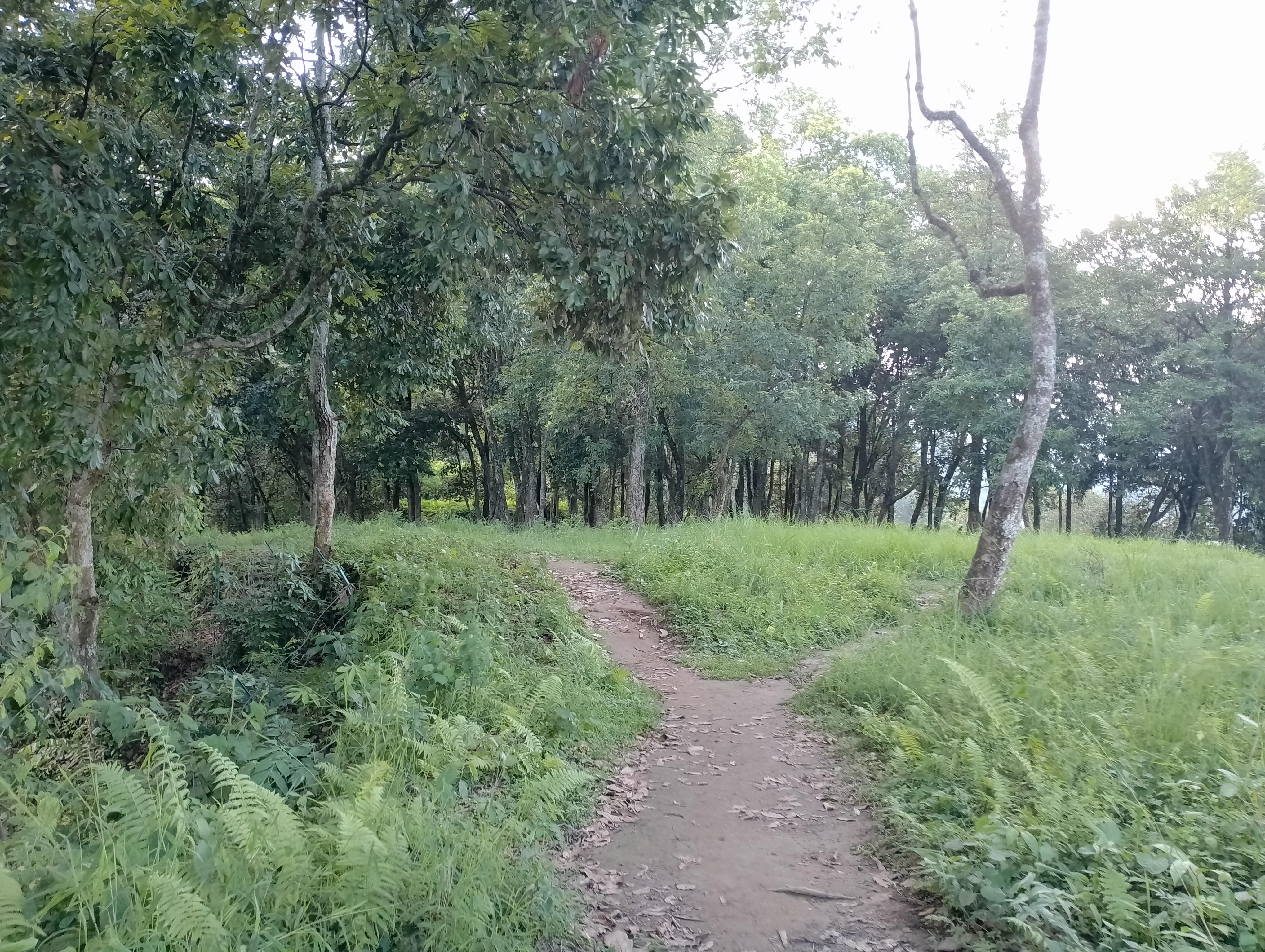 Short and Sweet: 3-Hour Hike with Views from Pokhara 2