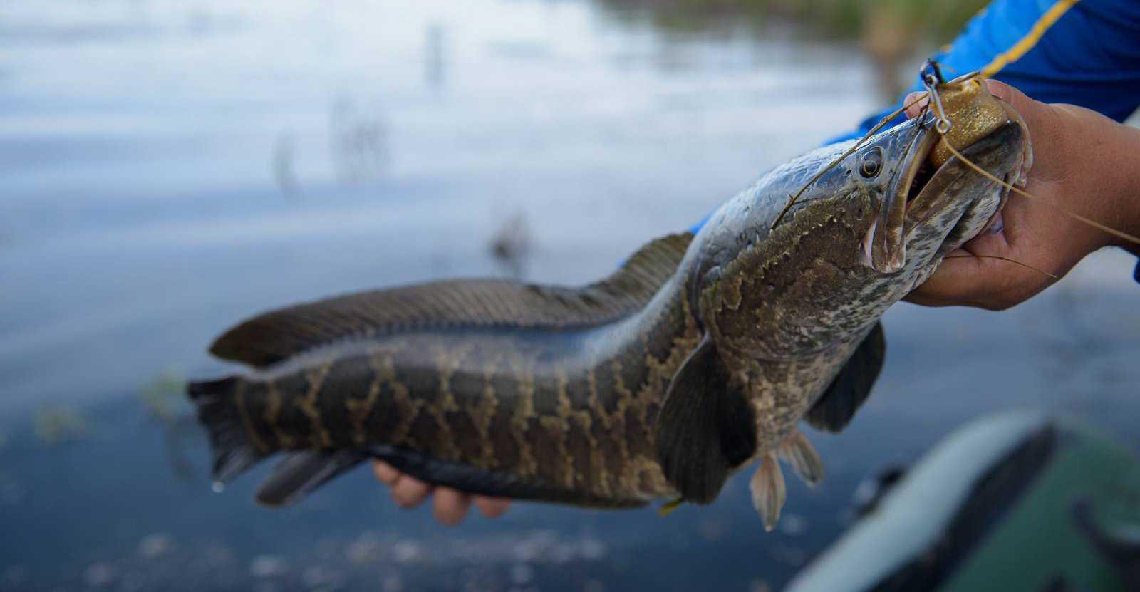 Almaty: 2-Day Private Fishing and Camping Tour 3