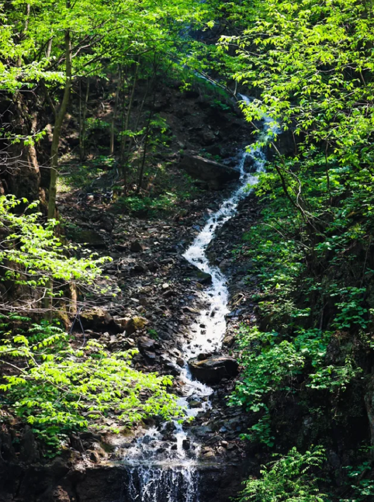 Beijing to Yesanpo Baili Gorge One Day Tour 3