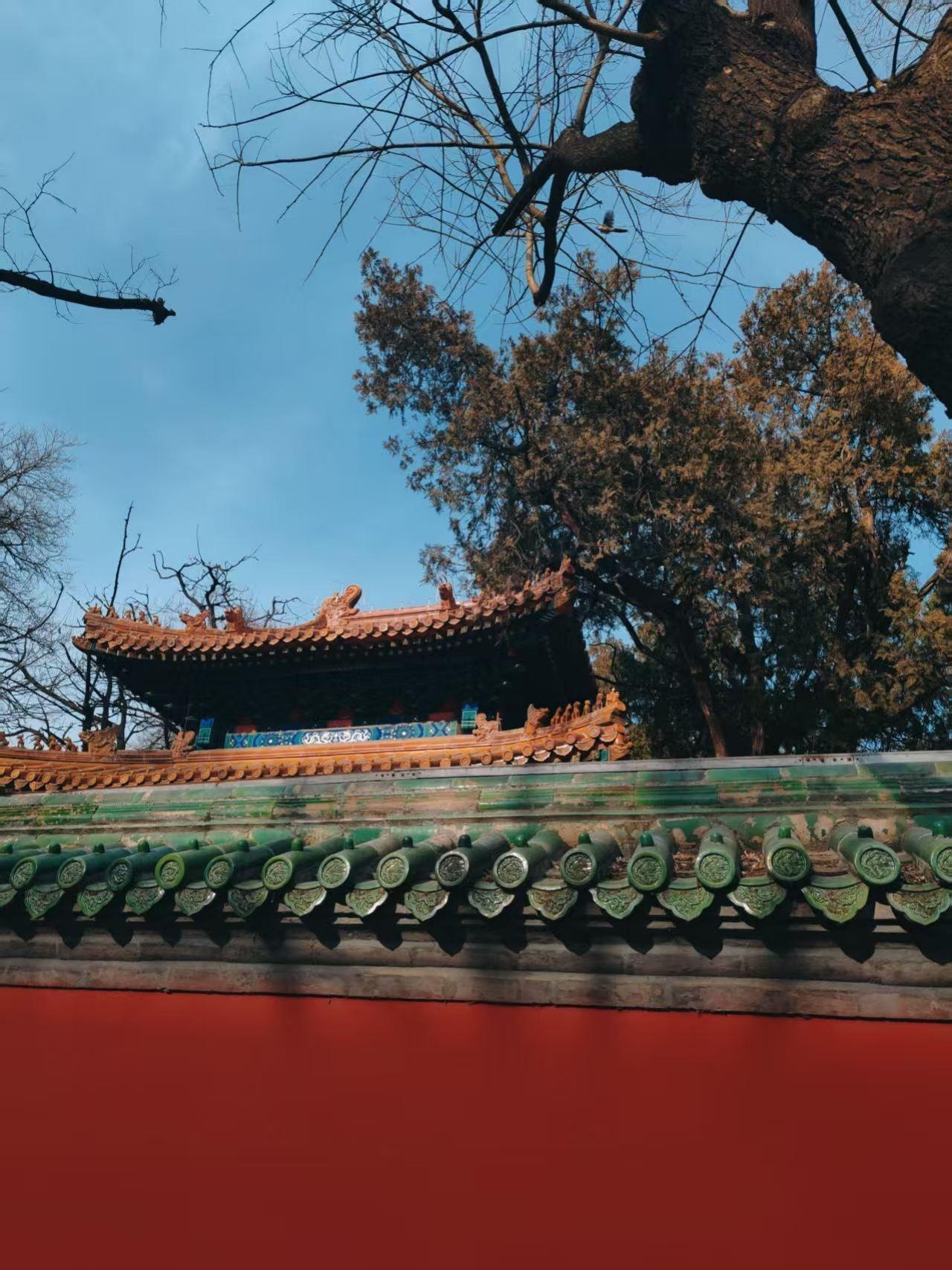 Beijing: Confucius Temple Guozijian Ticket with Audio Guide 3