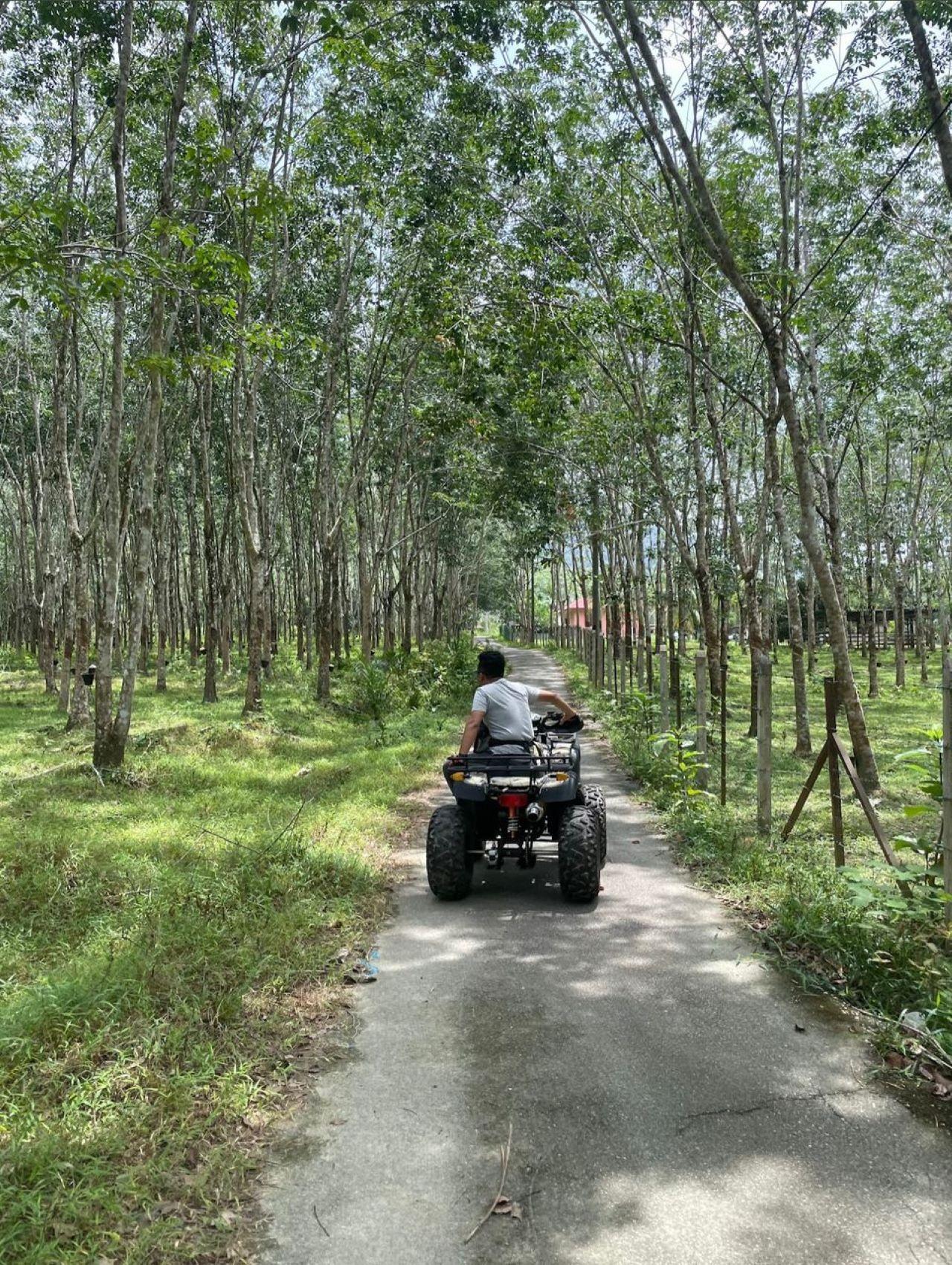 Langkawi:ATV Ride at Matchinchang Mountain Foothill 3