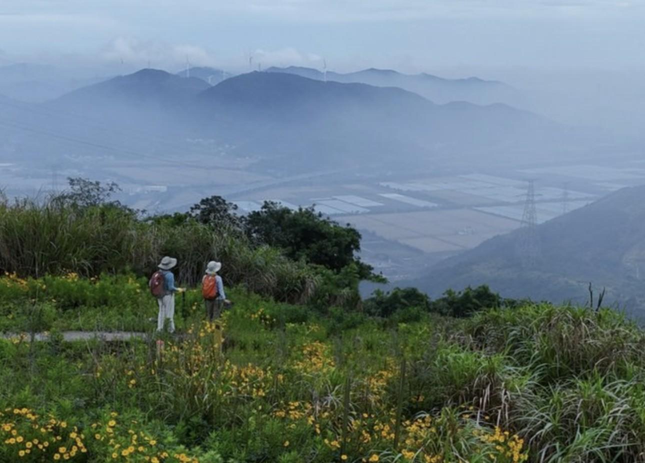 Shanghai: Zhoushan Windmill Coast Private Day Trip