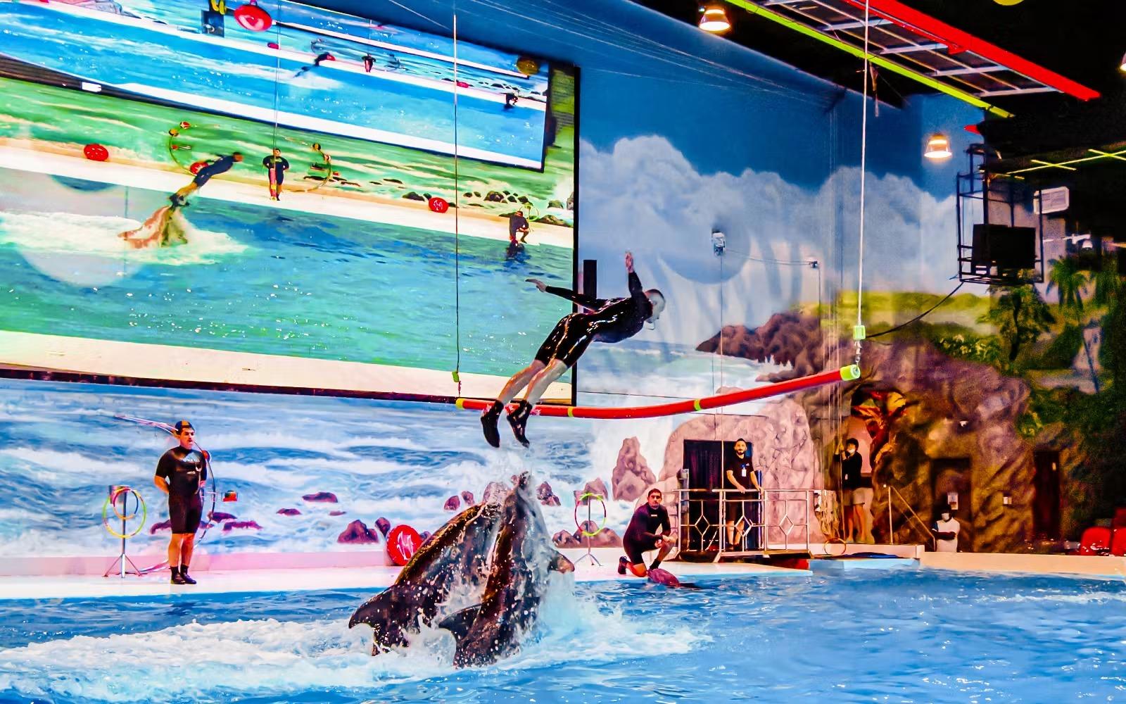 Dubai: Dolphinarium with VIP Ticket and GMC Yukon Transfer 2