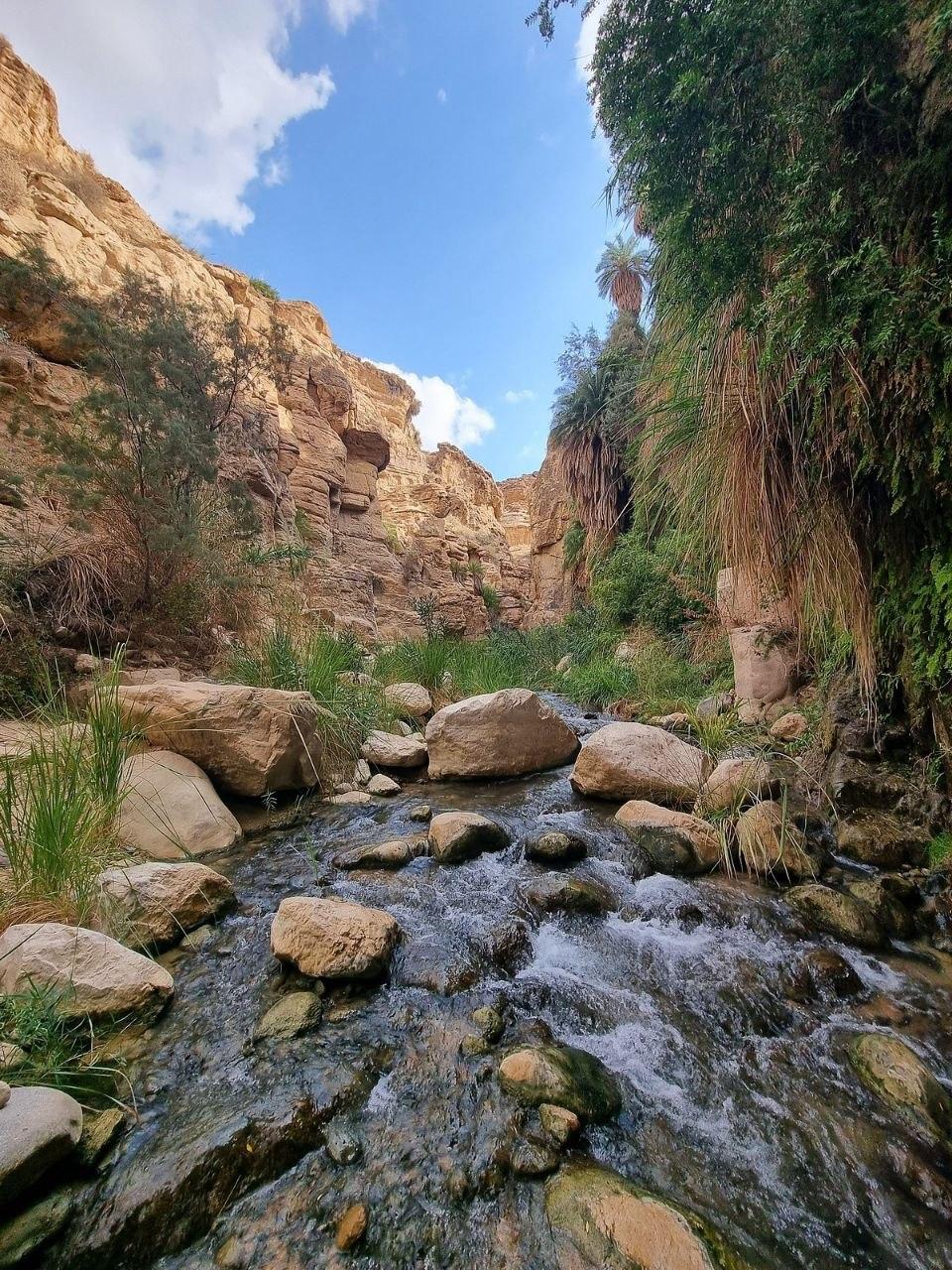 Mount Nebo, Ma'in & Dead Sea Sunset Escape 3