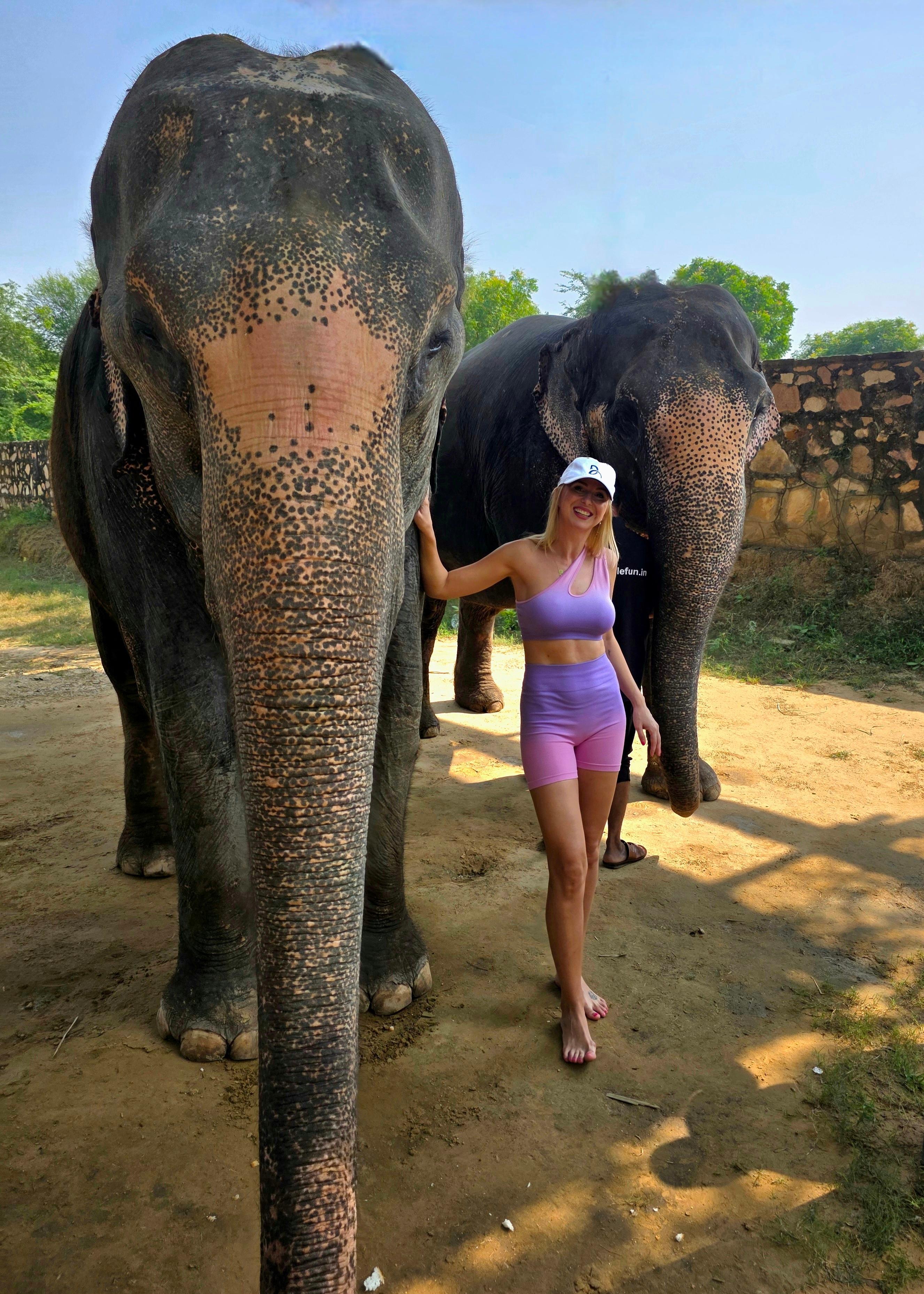 Elefun Elephant Sanctuary Tour in Jaipur