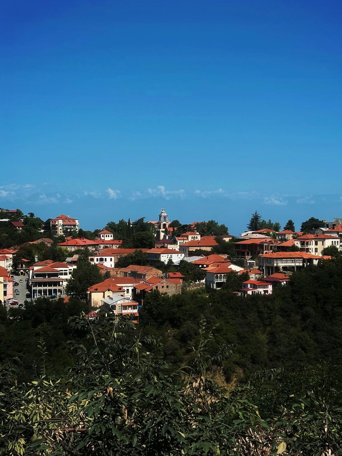 From Tbilisi: Kakheti Wine Tour with Bodbe & Sighnaghi 3