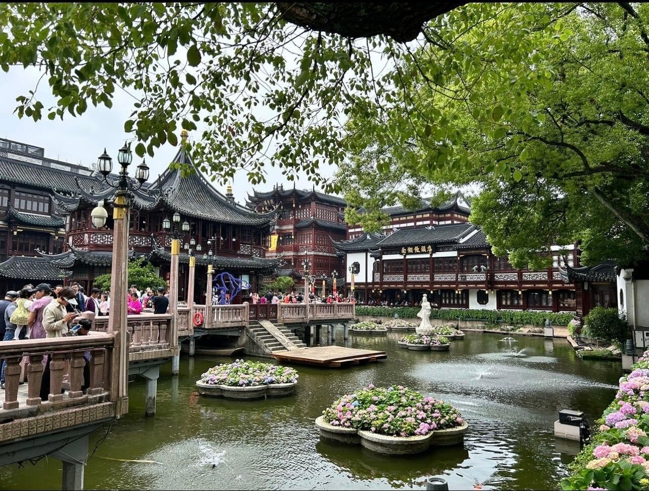 Shanghai Layover:Maglev+Private Car Day Tour