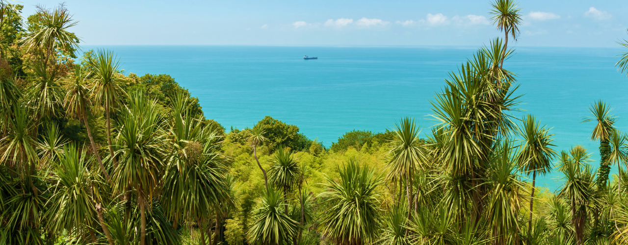 private Day tour Batumi-Gonio-Mirveti-Makhuntseti waterfalls