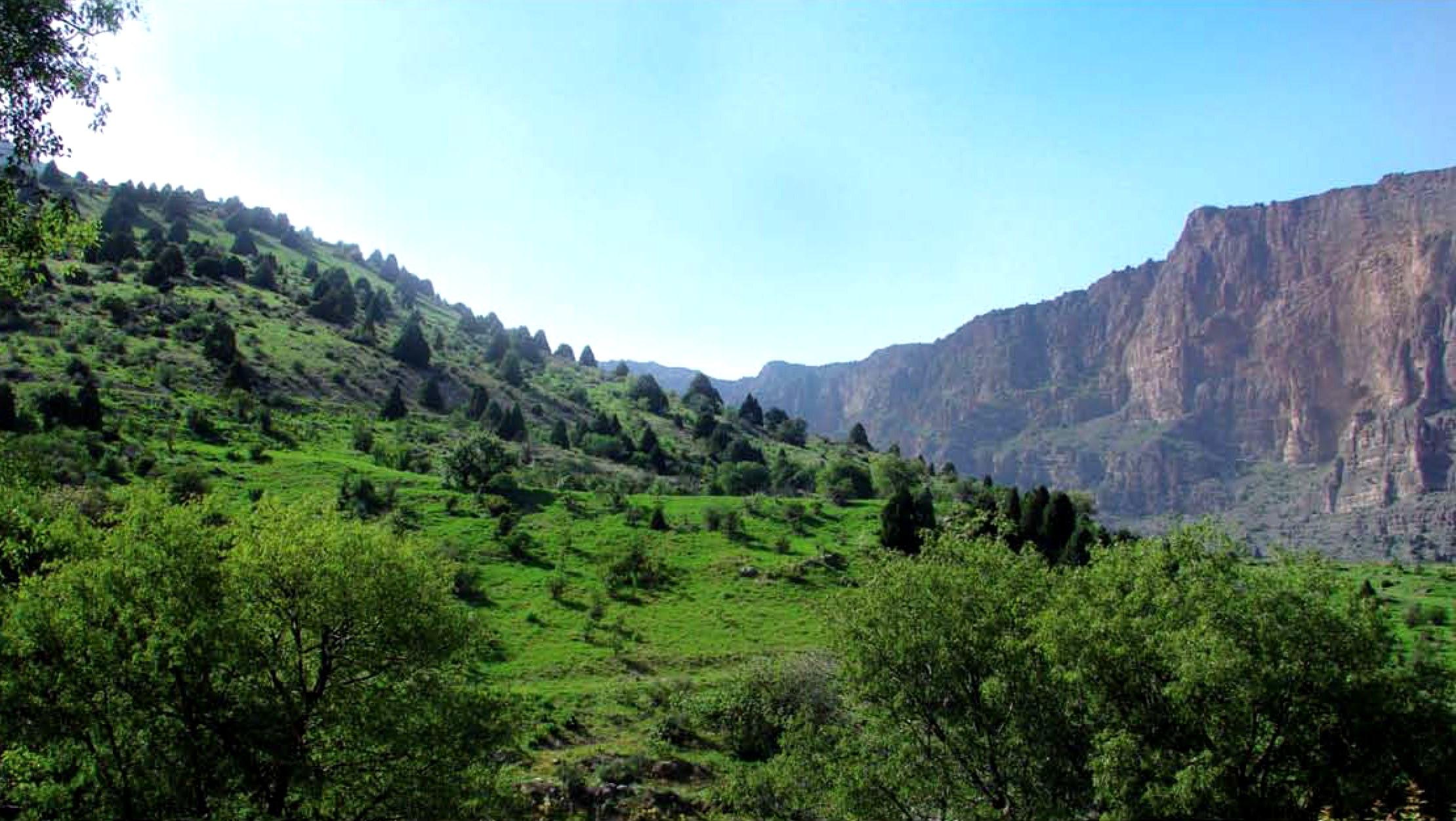 From Samarkand: Miraki Resort Day Trip with Cable Car Ride
