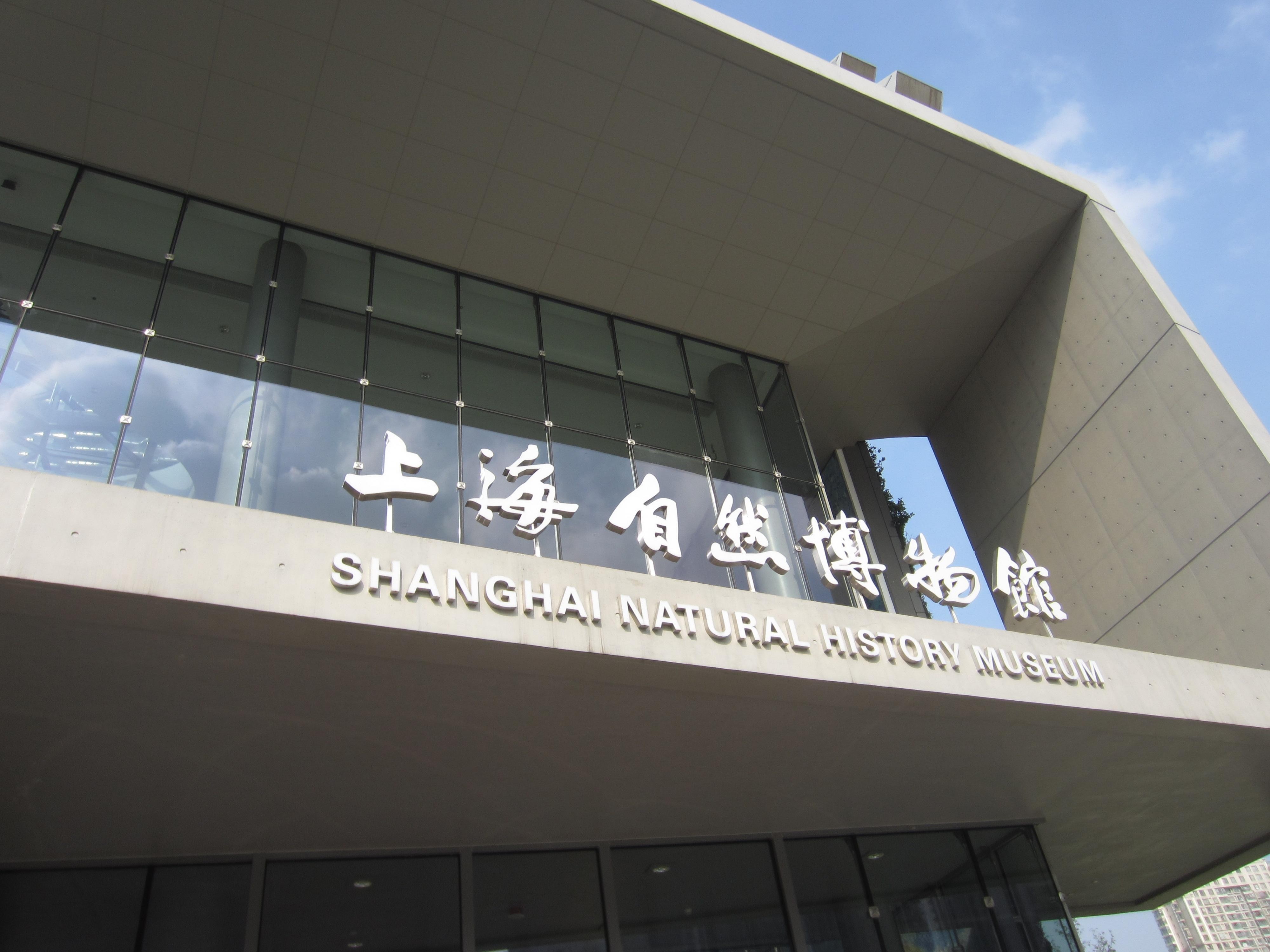 Shanghai: Private Natural History Museum Family Science Tour