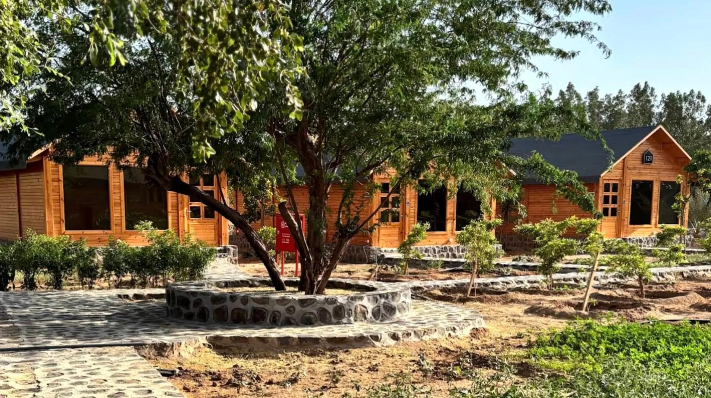 Mecca: Usfan Farm Nature Tour with Transfer