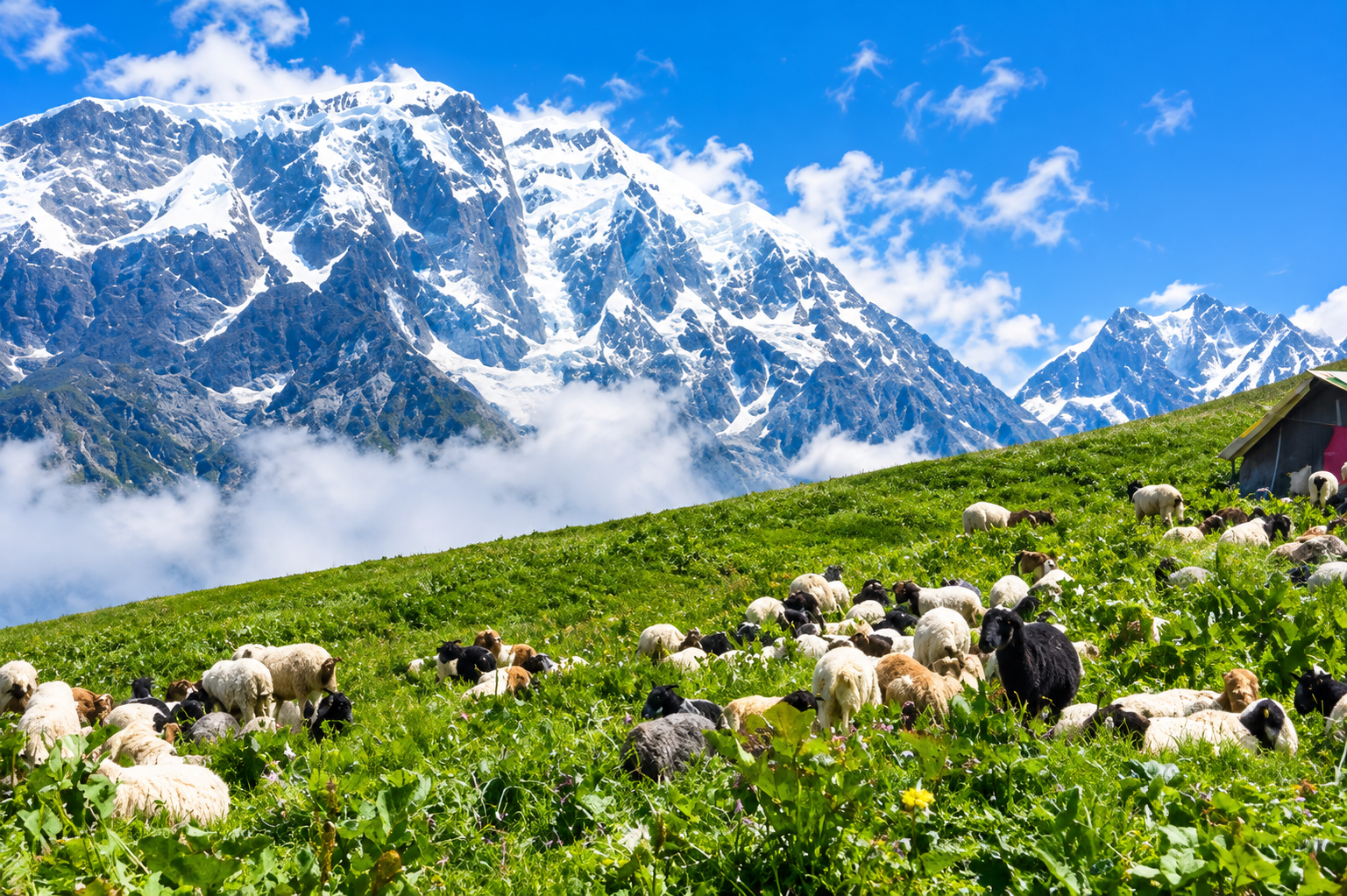 Kori Danda 3-Day Trek 3