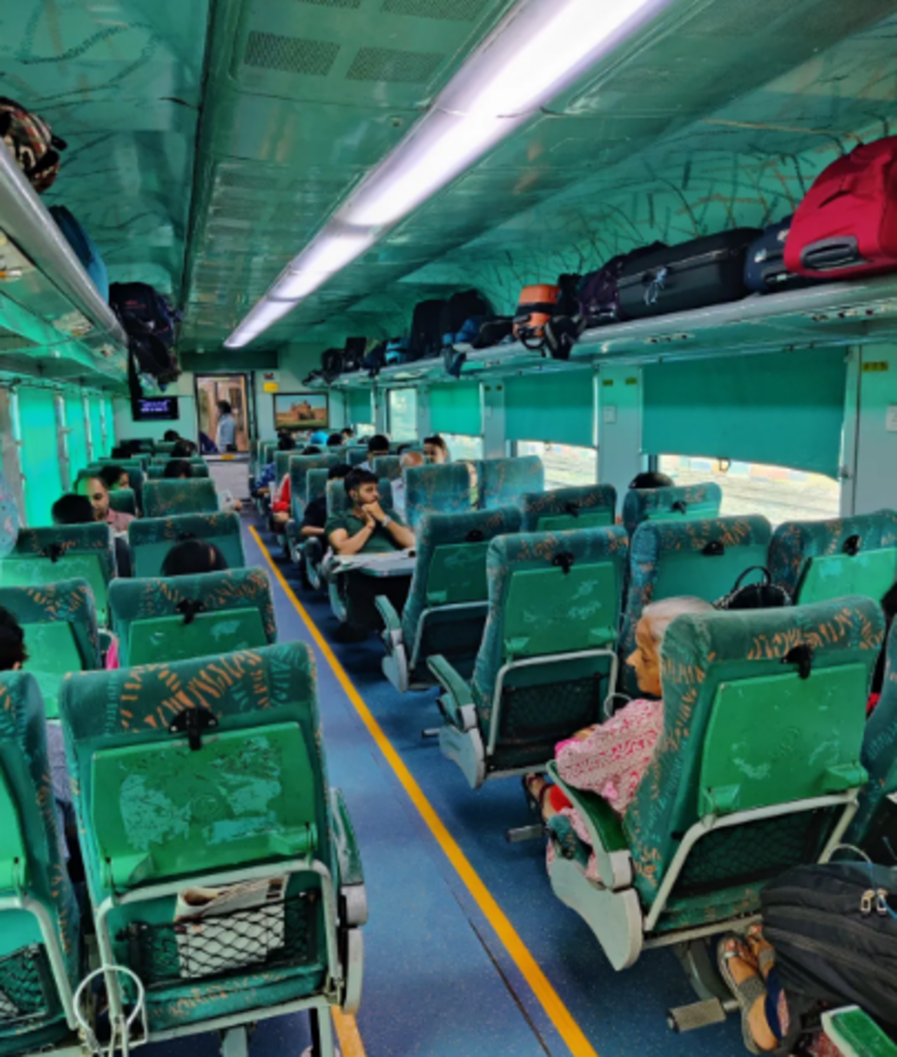 Delhi: Taj Mahal Day Trip By Express Train with Elephant SOS 2