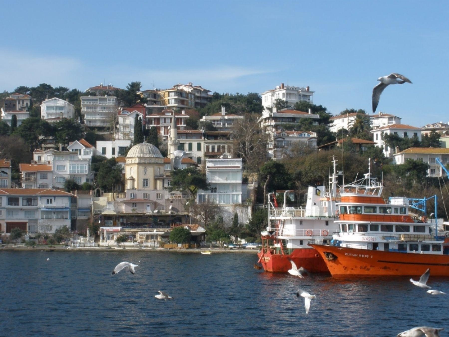 Istanbul Prince Island Cruise with Lunch & Free Time 2