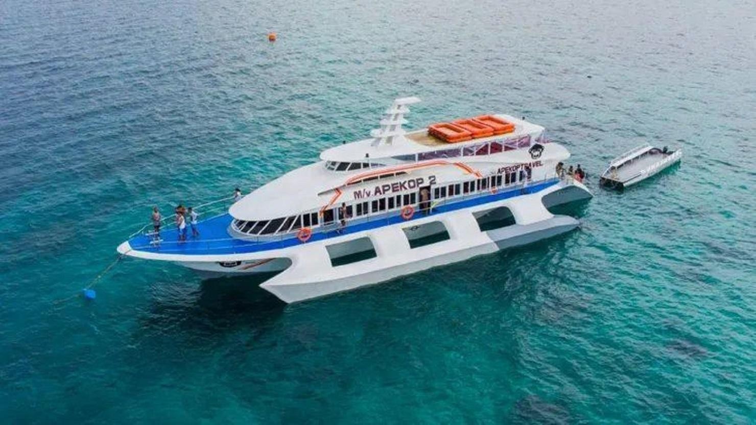 From Bohol: Oslob Ferry for Morning Whale Shark Tours