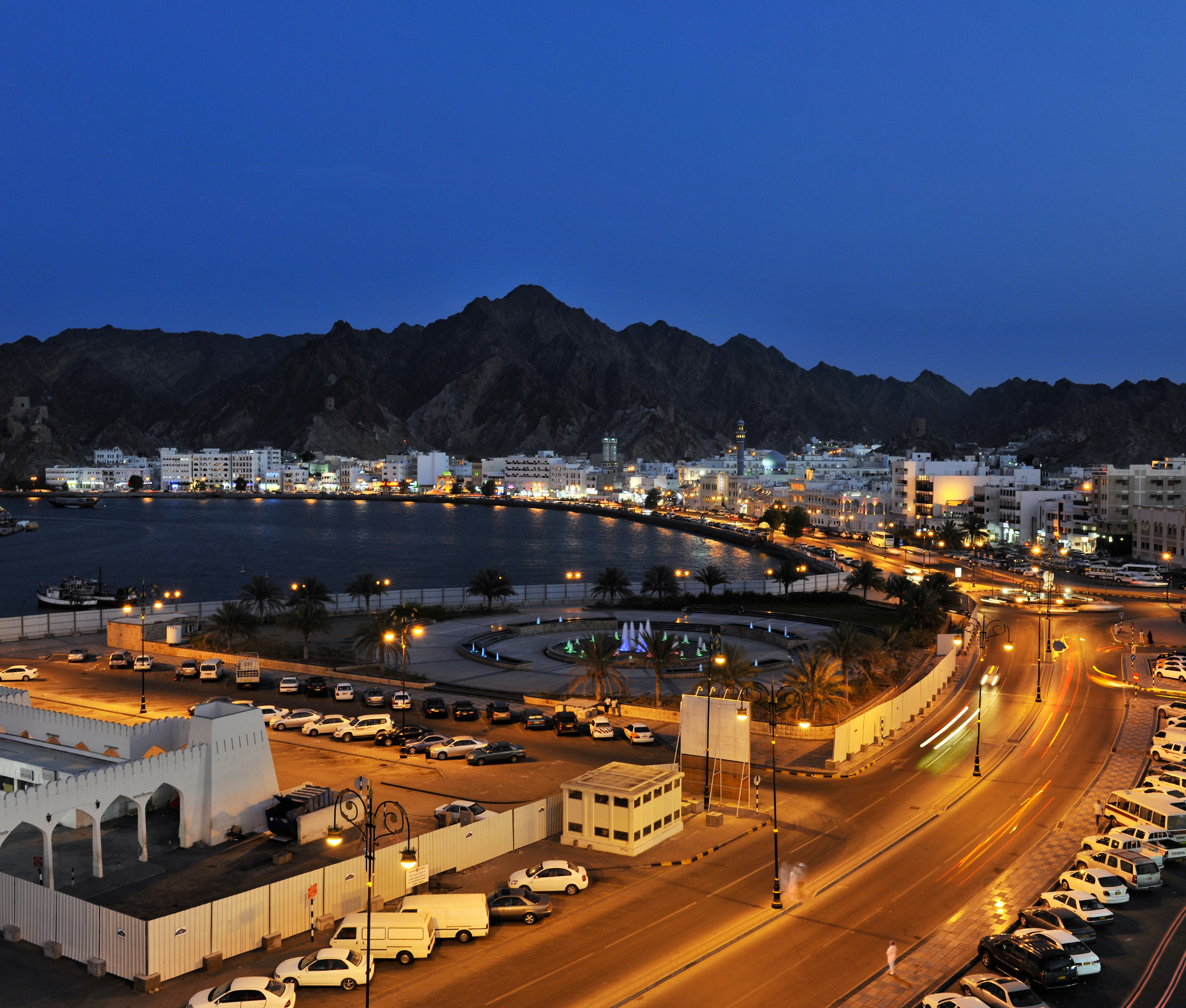 Discover Muscat: Express City Highlights Tour