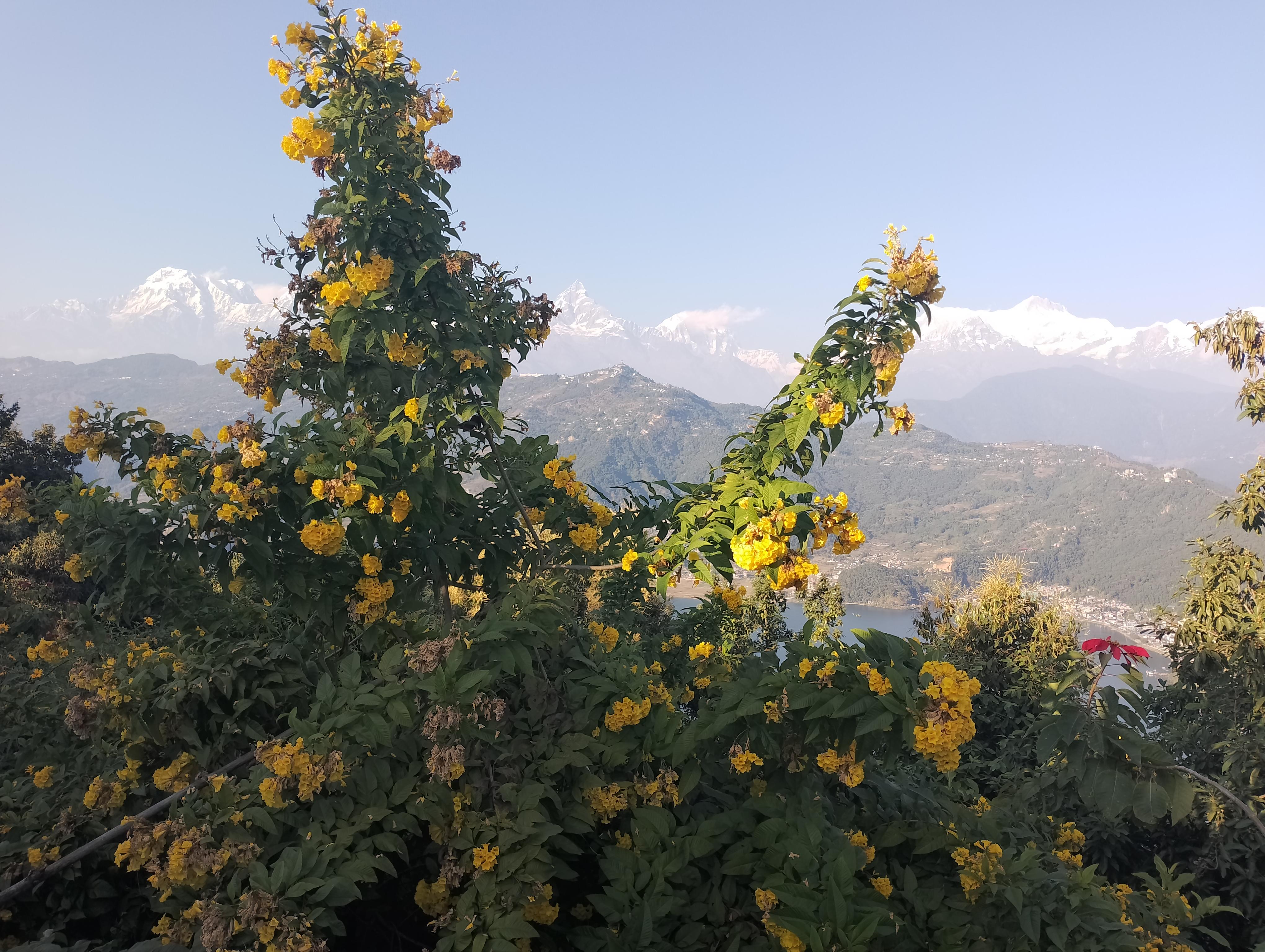 Kathmandu: 10-Day Nepal Eco-Culture Tour with Accommodation 3