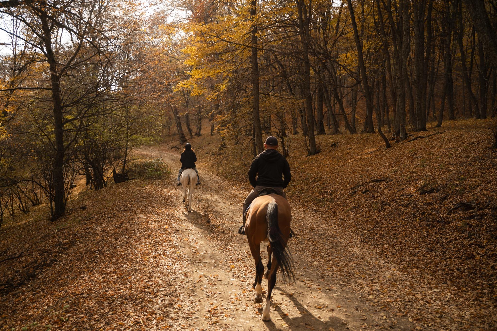 Tbilisi to Kiketi Agro Farm, Lunch, Wine & Spa Day Tour 2