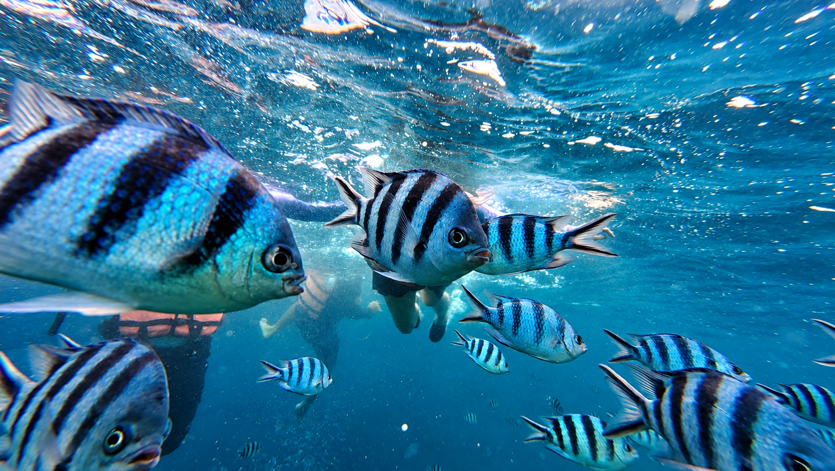 From Puerto Princesa: Port Barton 4D3N Island & Land Tour 3