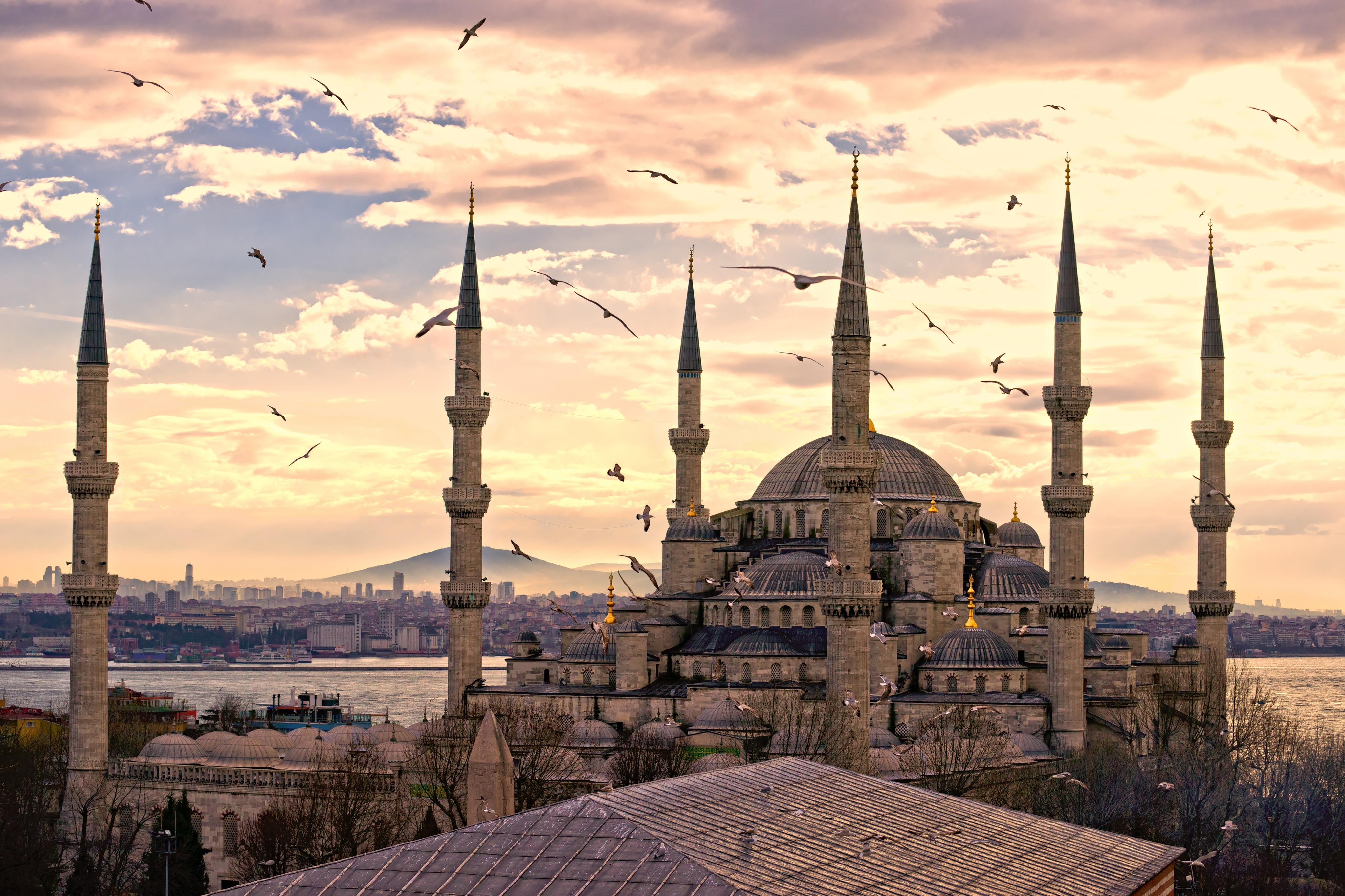 Istanbul: Private Shore Excursion with Old City Tour