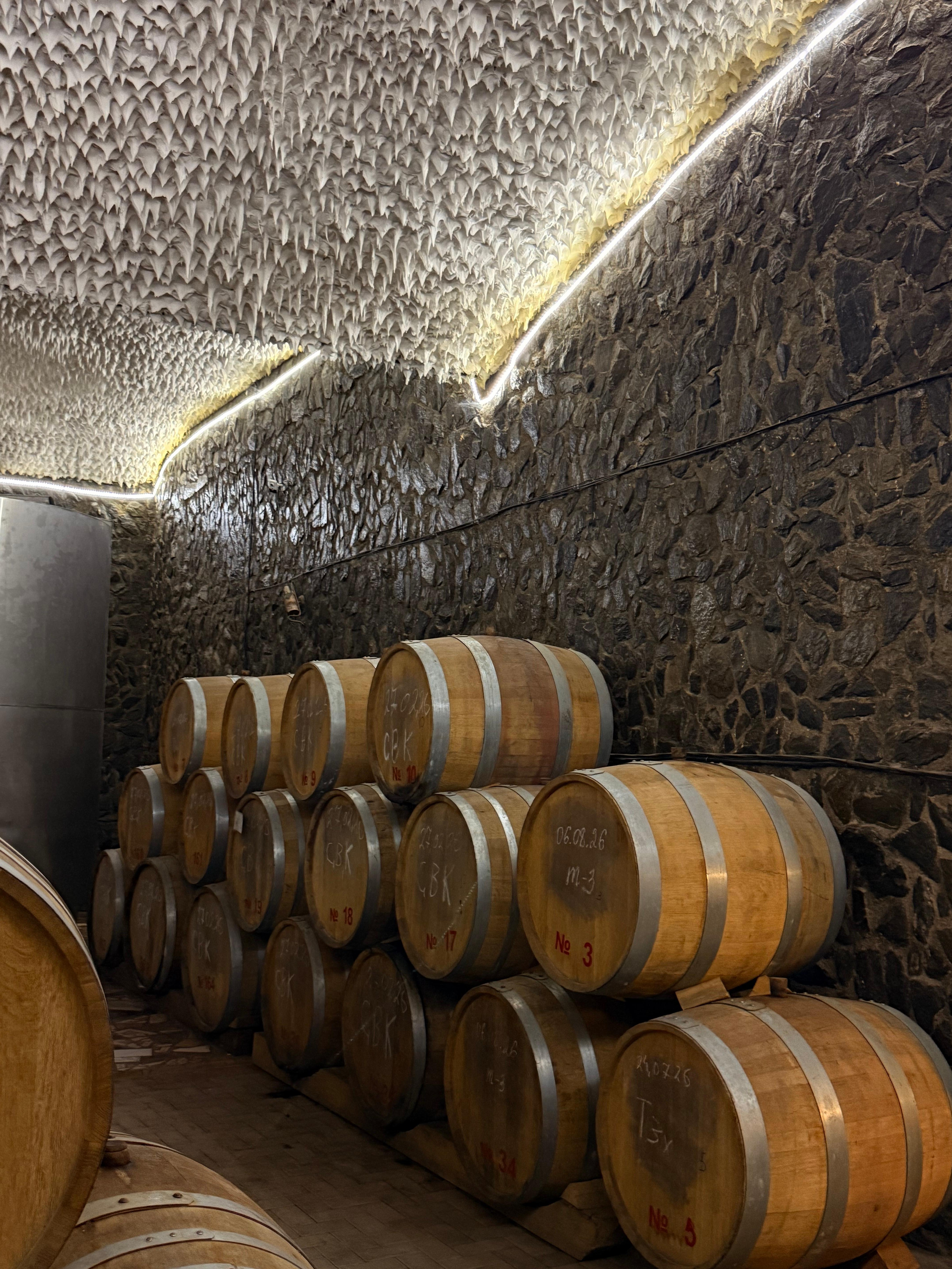 Samarkand: Bagizagan Winery Tour with Wine Tasting 2
