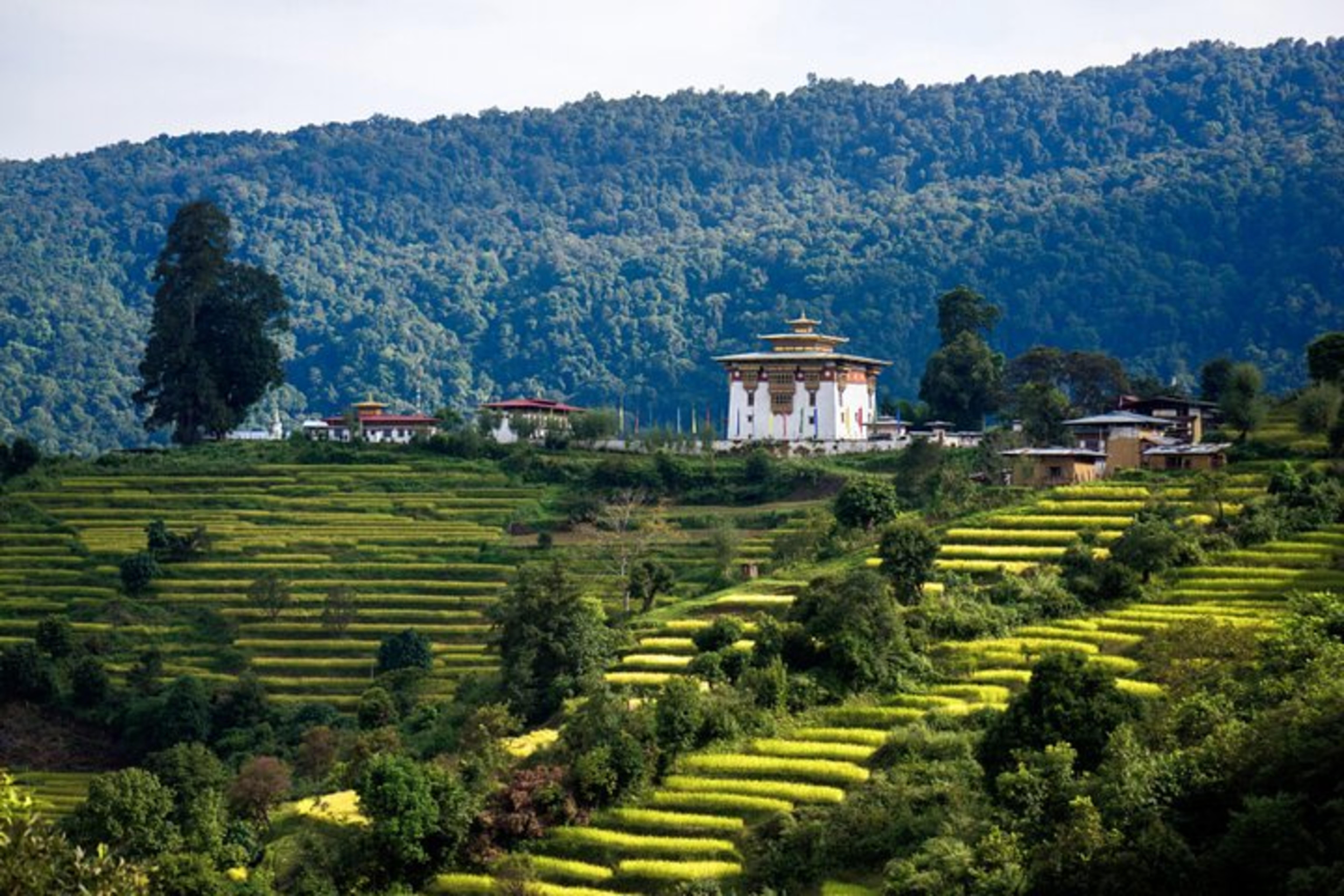 From Thimphu - Enchanting Bhutan tour with Guide 5 days Tour 3