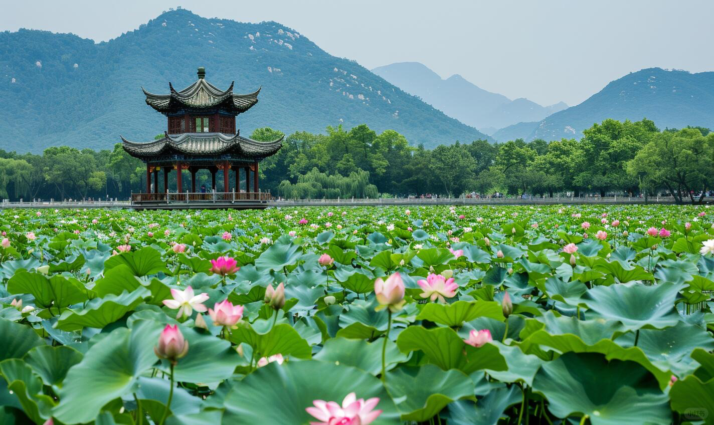 Shanghai to Hangzhou Day Trip: West Lake Boat&Train Tickets