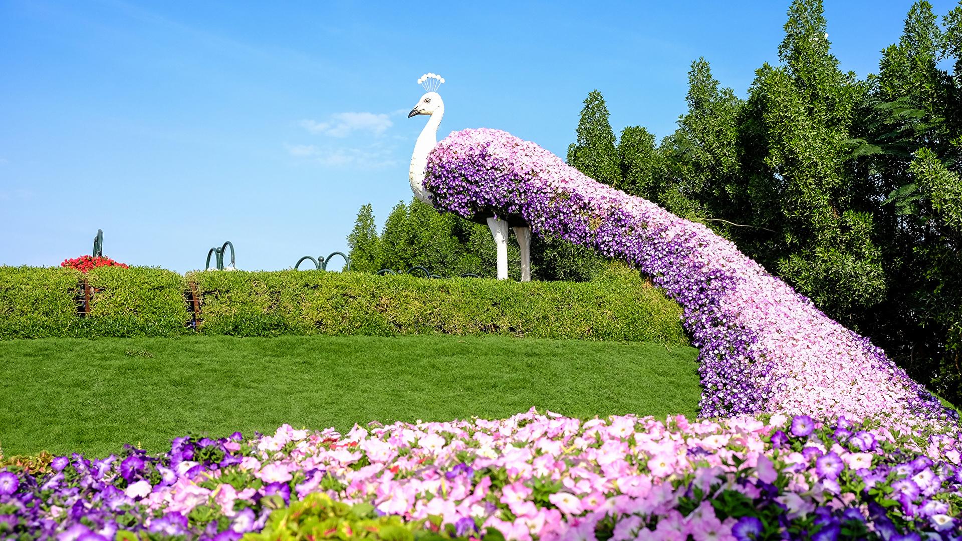 Dubai: Private Dubai Flora and Fauna Trip 3
