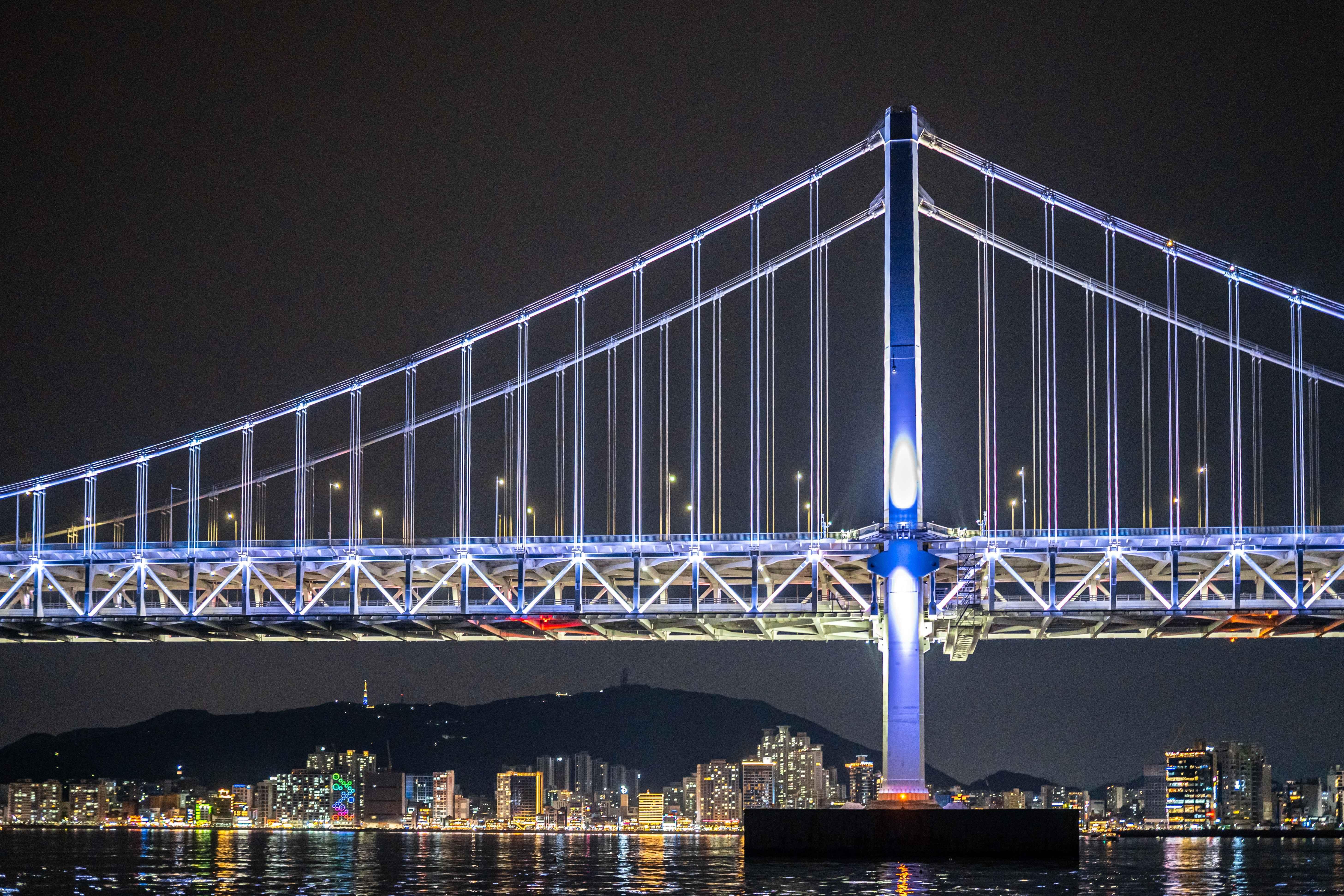 Busan by Night: Yacht, Food & Night Views 3