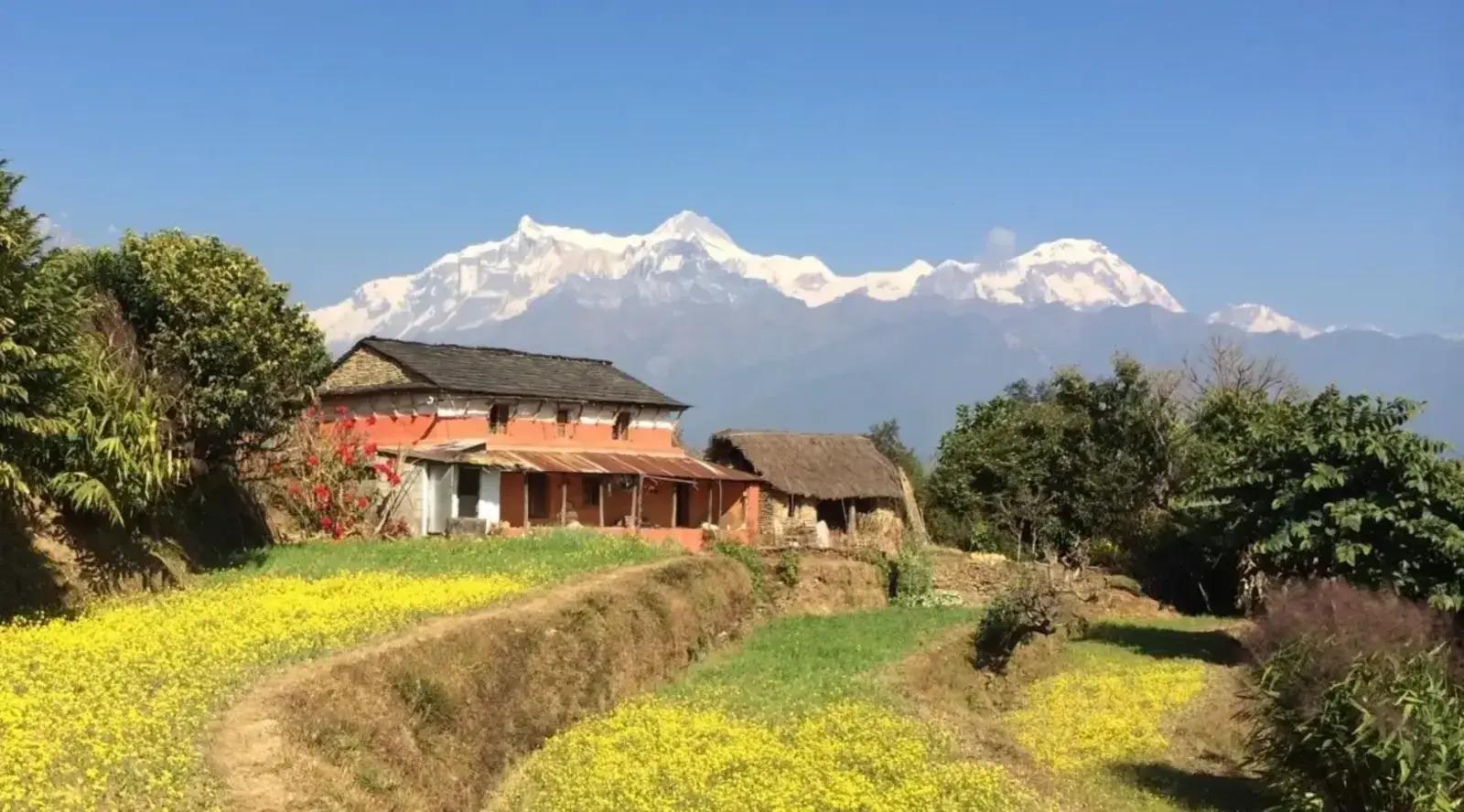 Pokhara : Easy Dhampus & Astam Village Day Hike