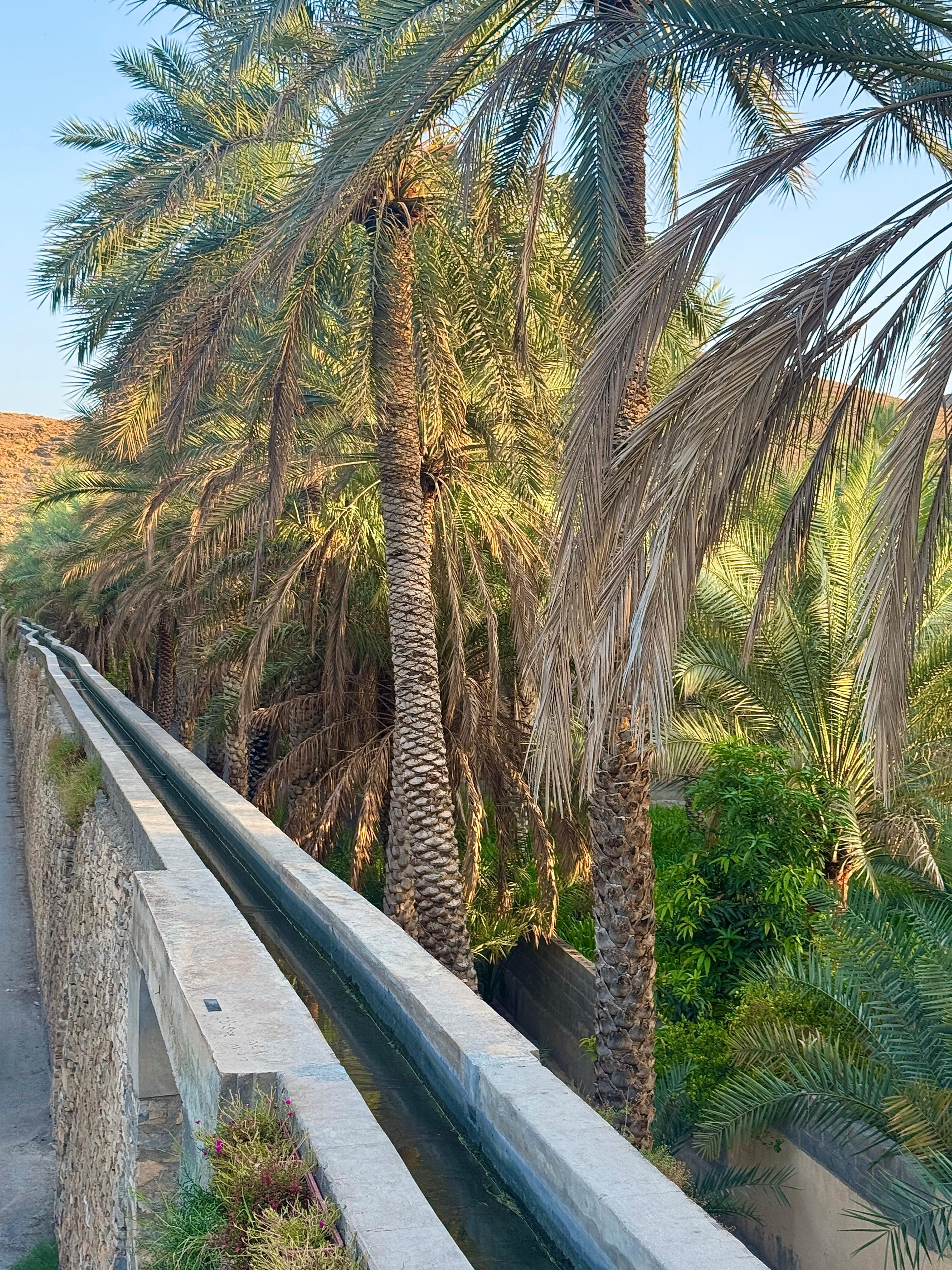 Muscat to Nizwa: Private Fort, Souq, Falaj & Museum Tour 3