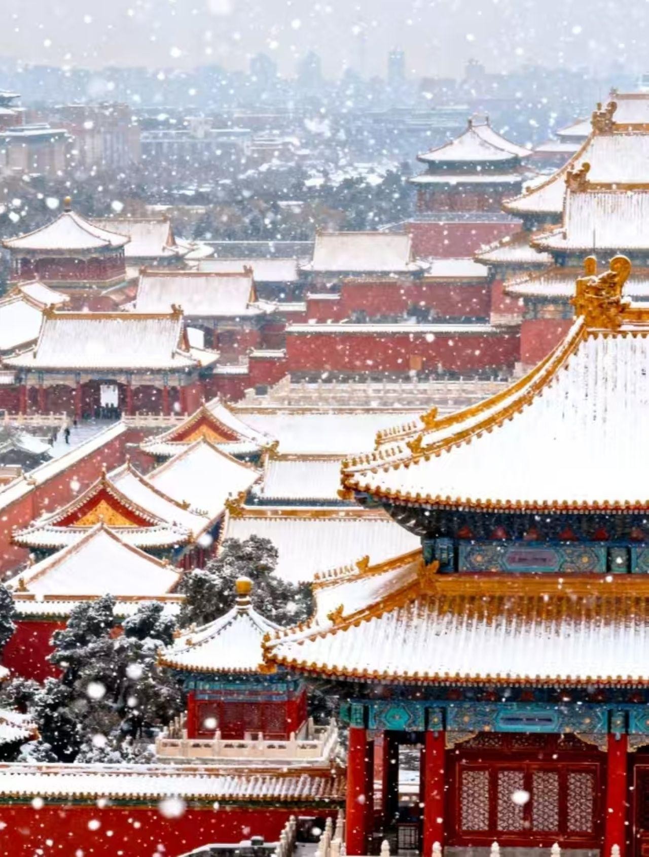 Beijing Layover: Forbidden City & Temple of Heaven Tour 2