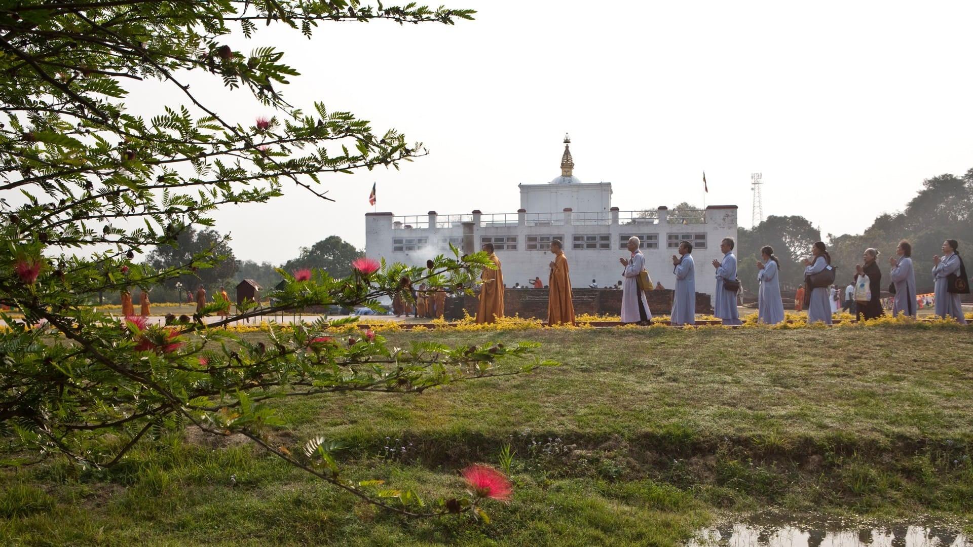 1-Week Buddhist Monastery Retreat in Lumbini 3