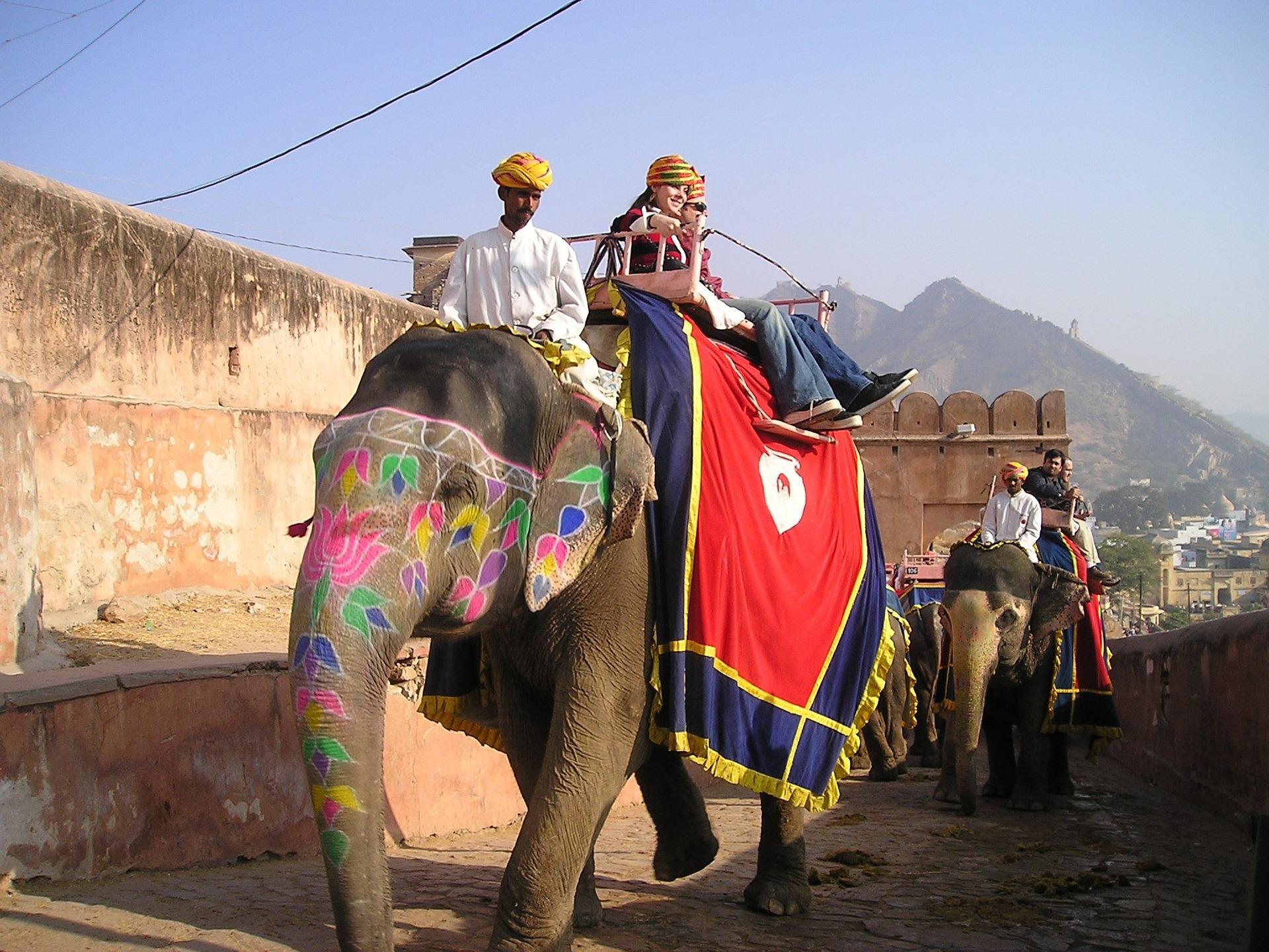 From Delhi: Private Same Day Jaipur City Tour- All Inclusive 2