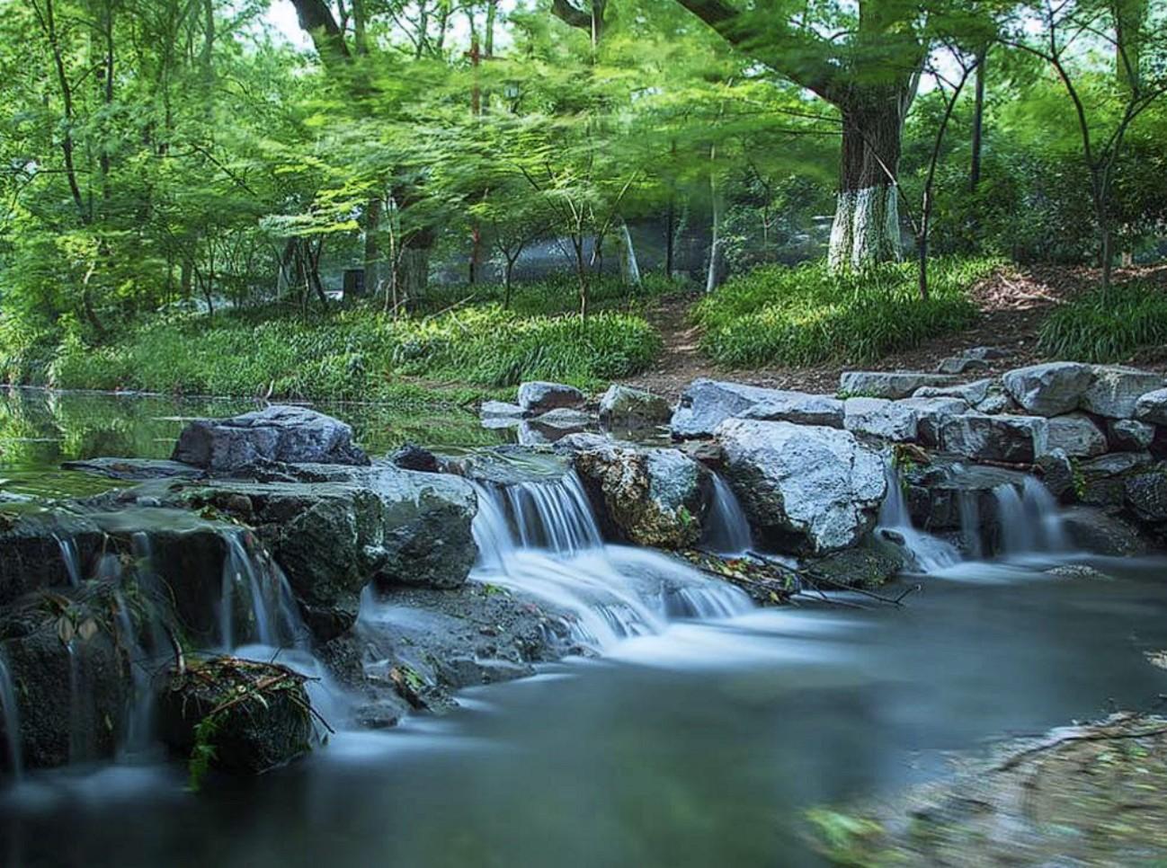 Suzhou: Hangzhou Nine Creeks & Longjing Tea Village Trip 3