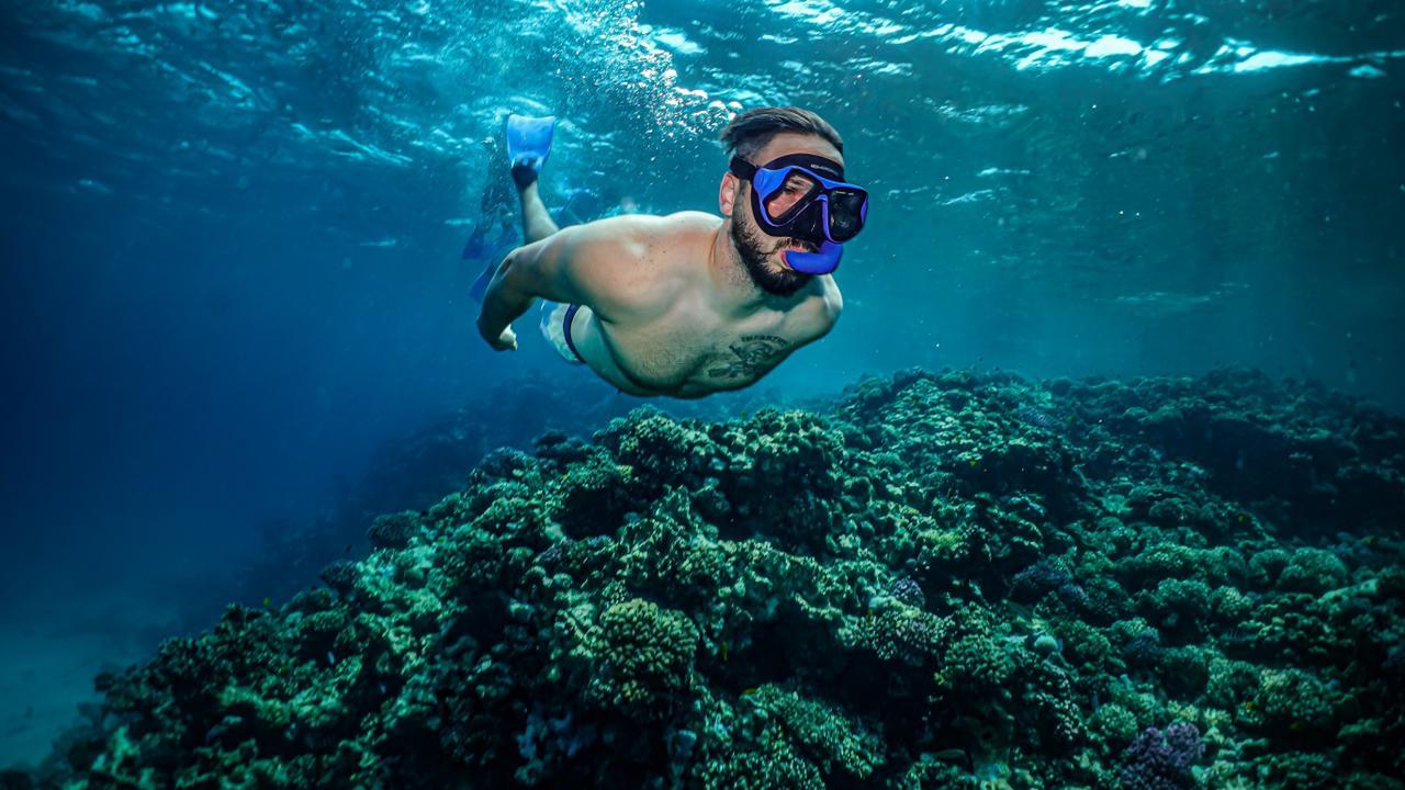 Jeddah: Guided Snorkeling Trip with Snacks and Drinks 3
